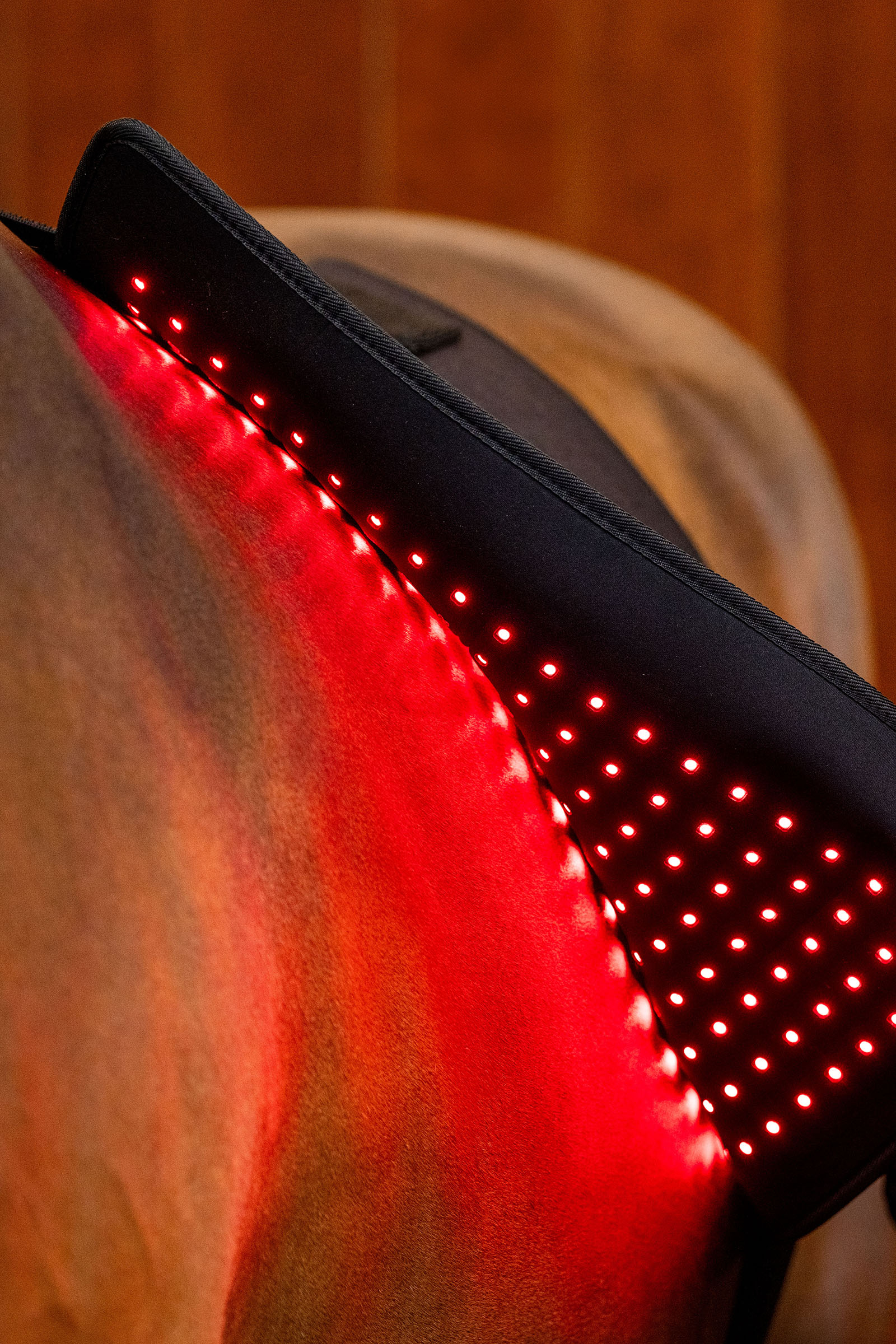 Horseware LED punavalohoitoinen Pad