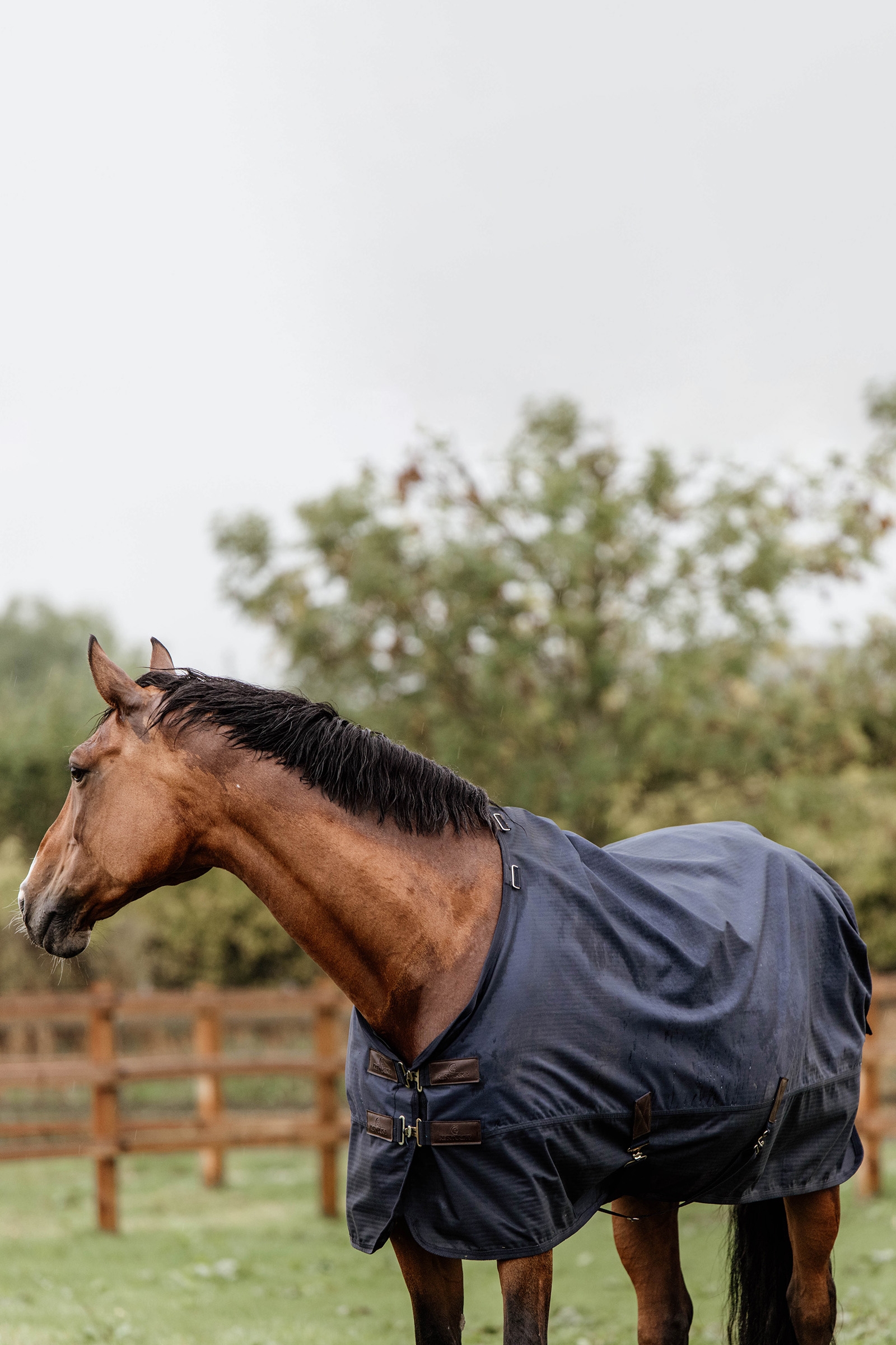 Kentucky Horsewear All Weather ulkoloimi, 300 g