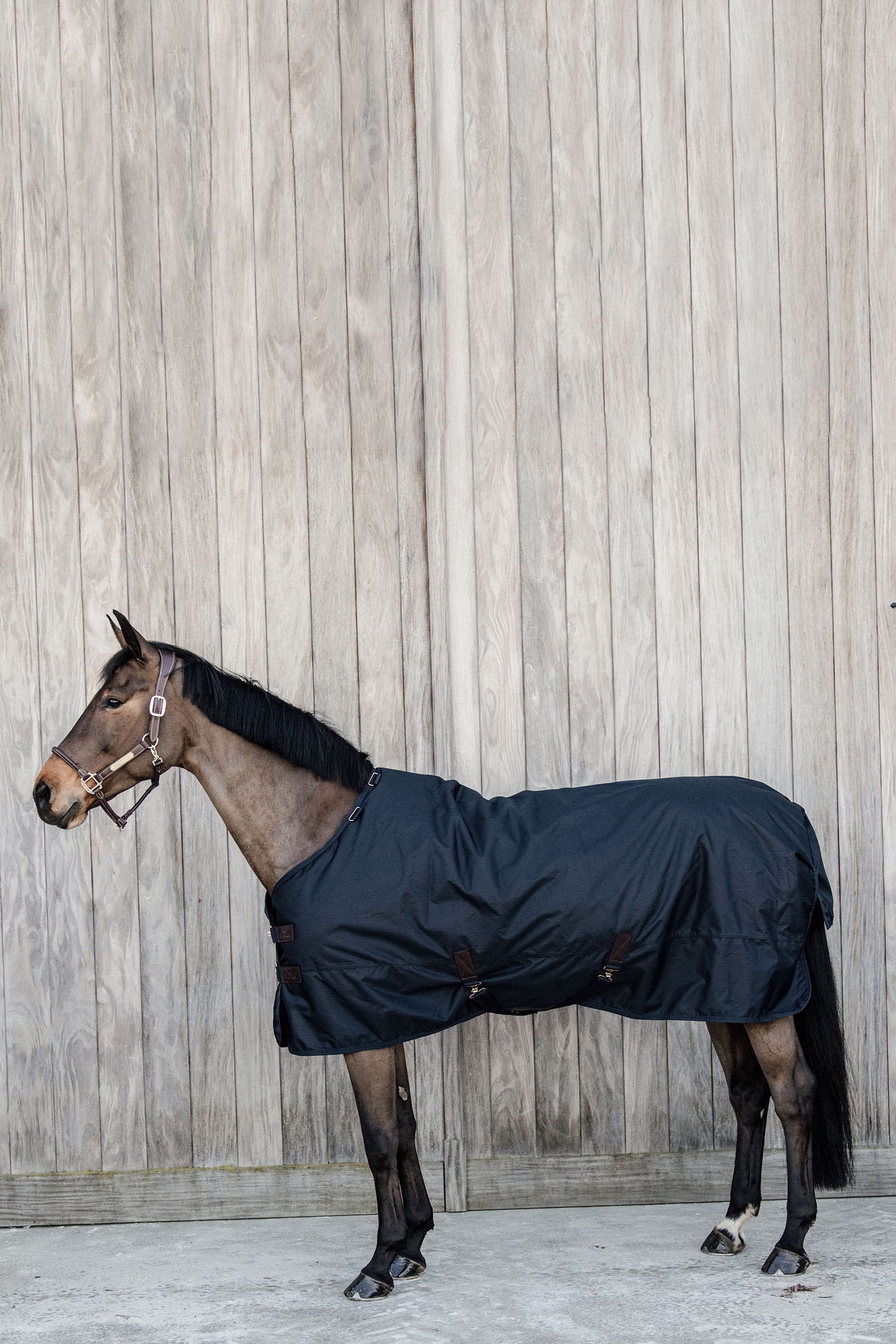 Kentucky Horsewear All Weather Waterproof Classic ulkoloimi, 150 g