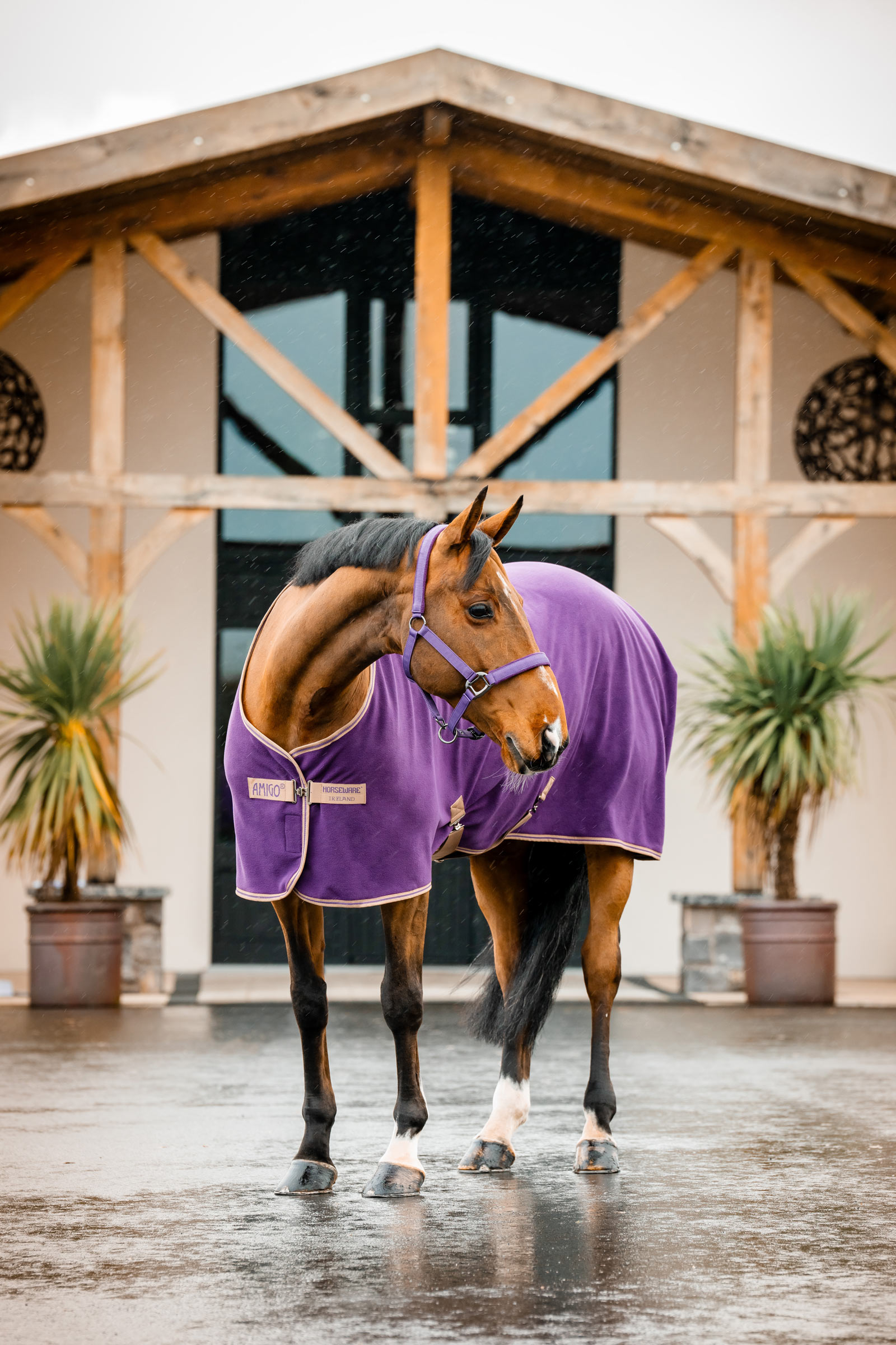 Horseware Amigo Fleece Cooler