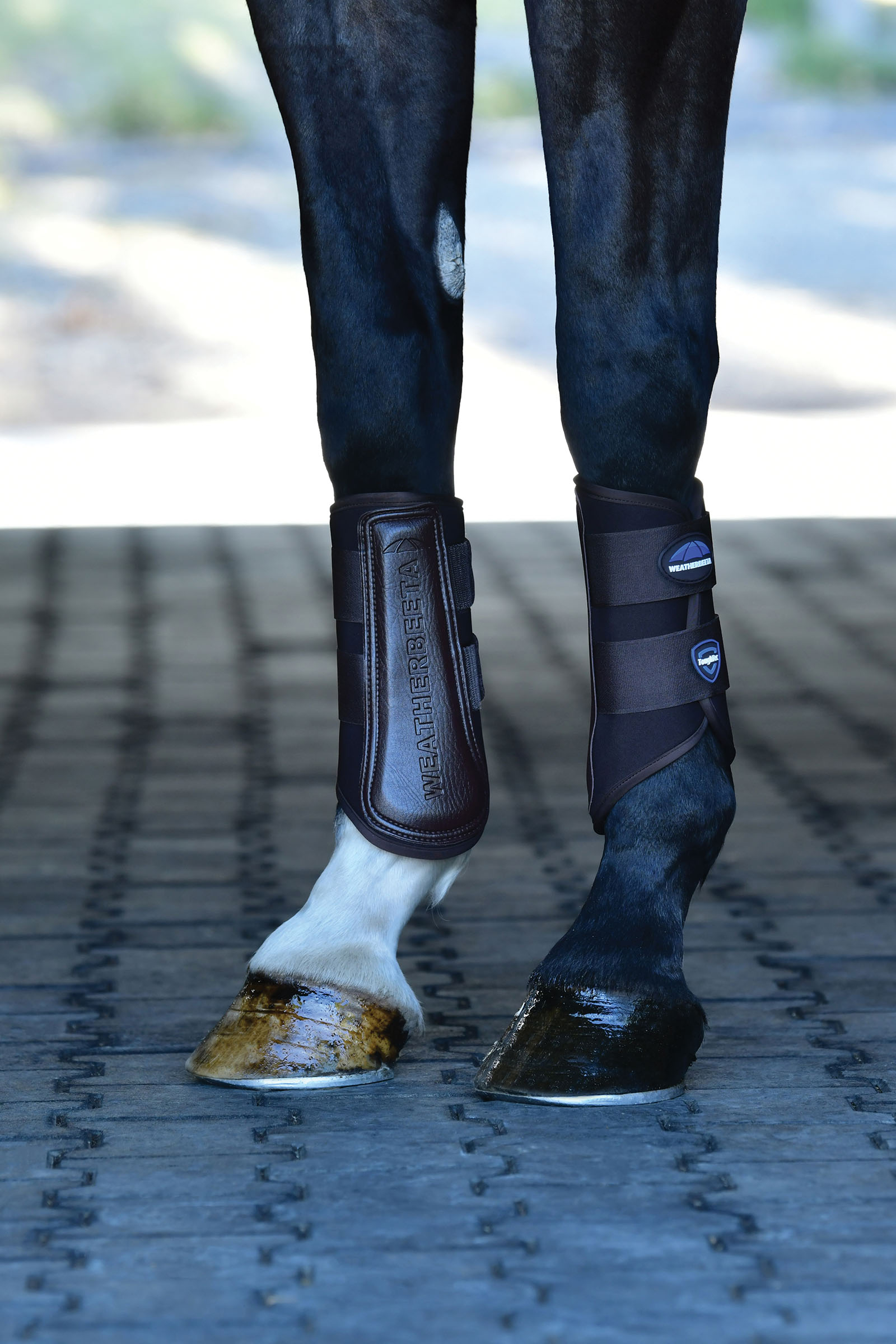 Weatherbeeta Tough-Tec Prime Hivutussuojat