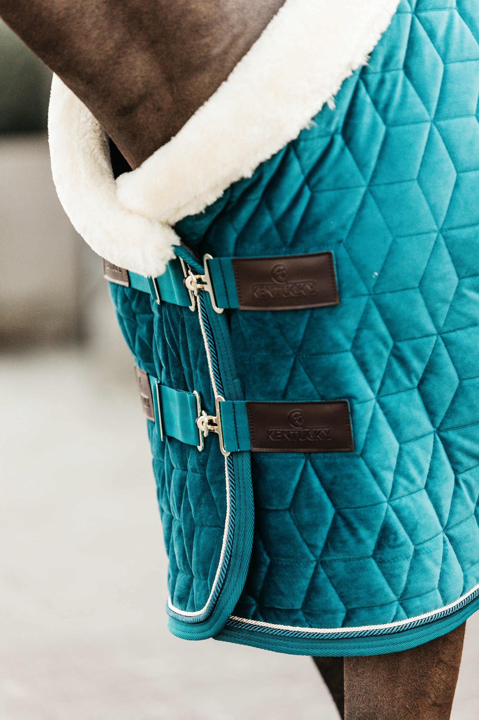 Kentucky Velvet Pony kilpailuloimi, 160 g