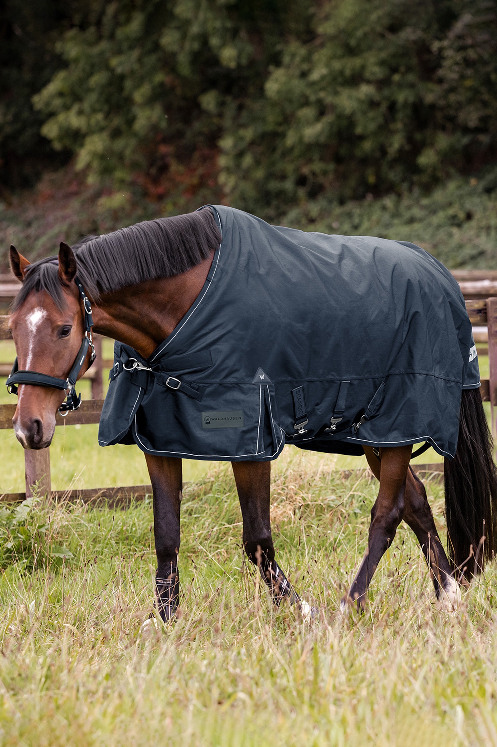 Waldhausen ulkoloimi Scandic monikerroksinen 150 g/50 g