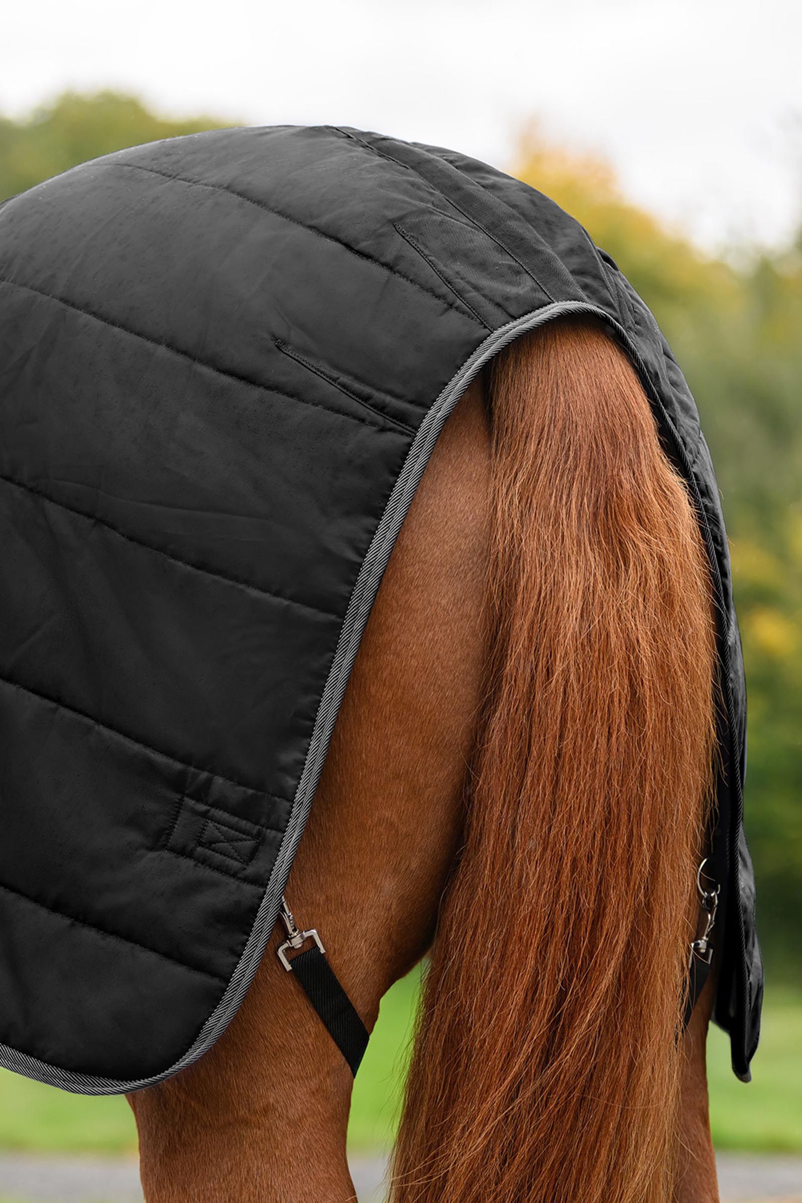 Waldhausen ECONOMIC talliloimi, 100g