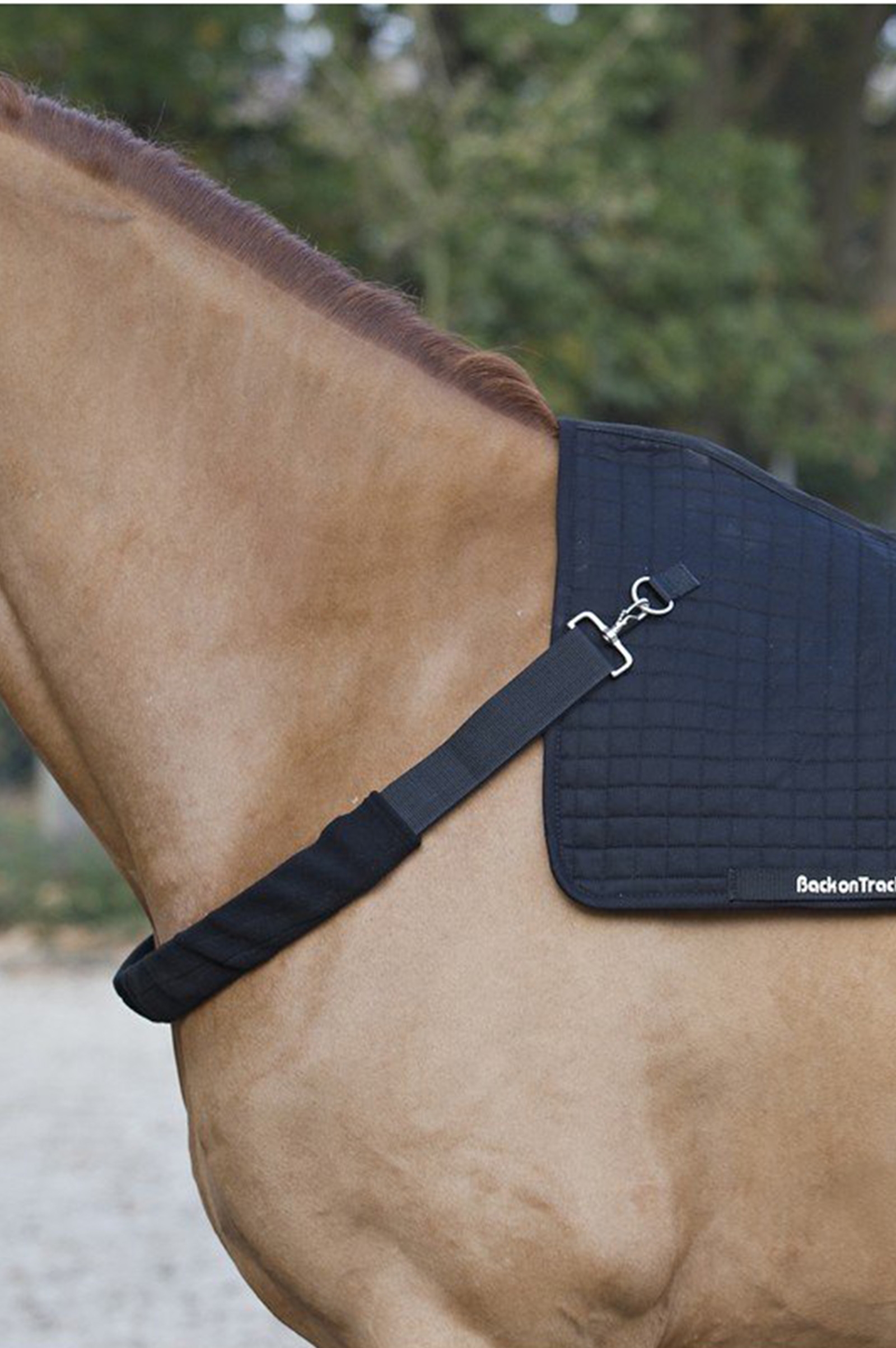 Back On Track rintaremmi