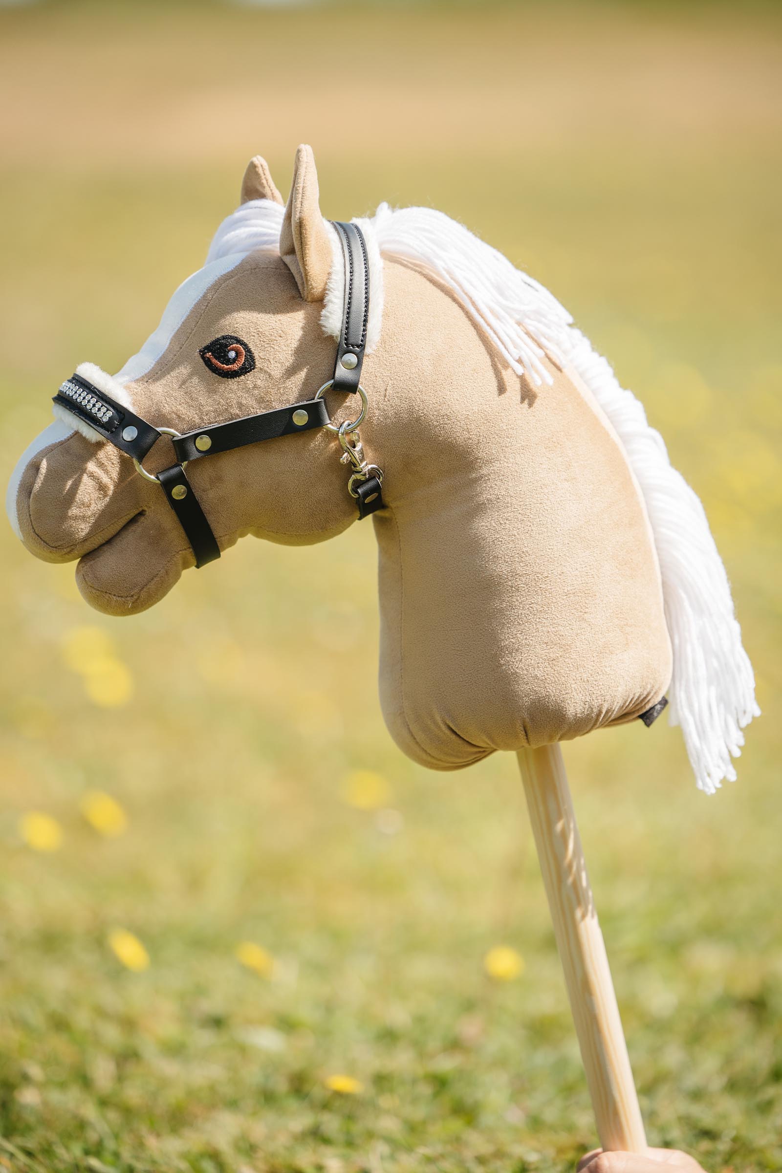 My Hobby Horse riimu pehmusteella ja kivill&auml;