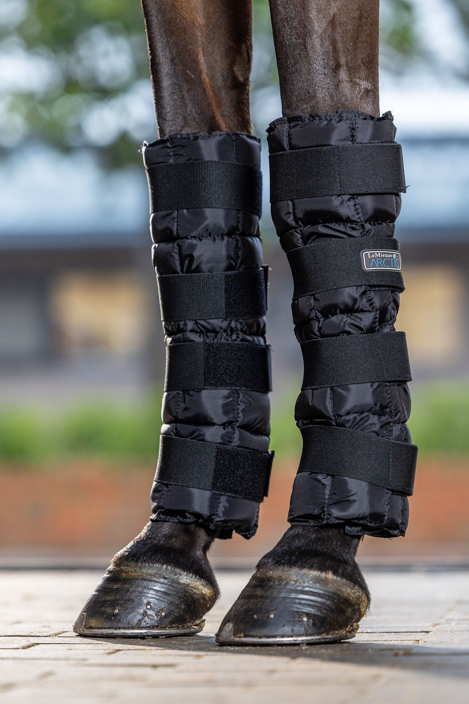 LeMieux Arctic Ice kylm&auml;yssuojat (pari)