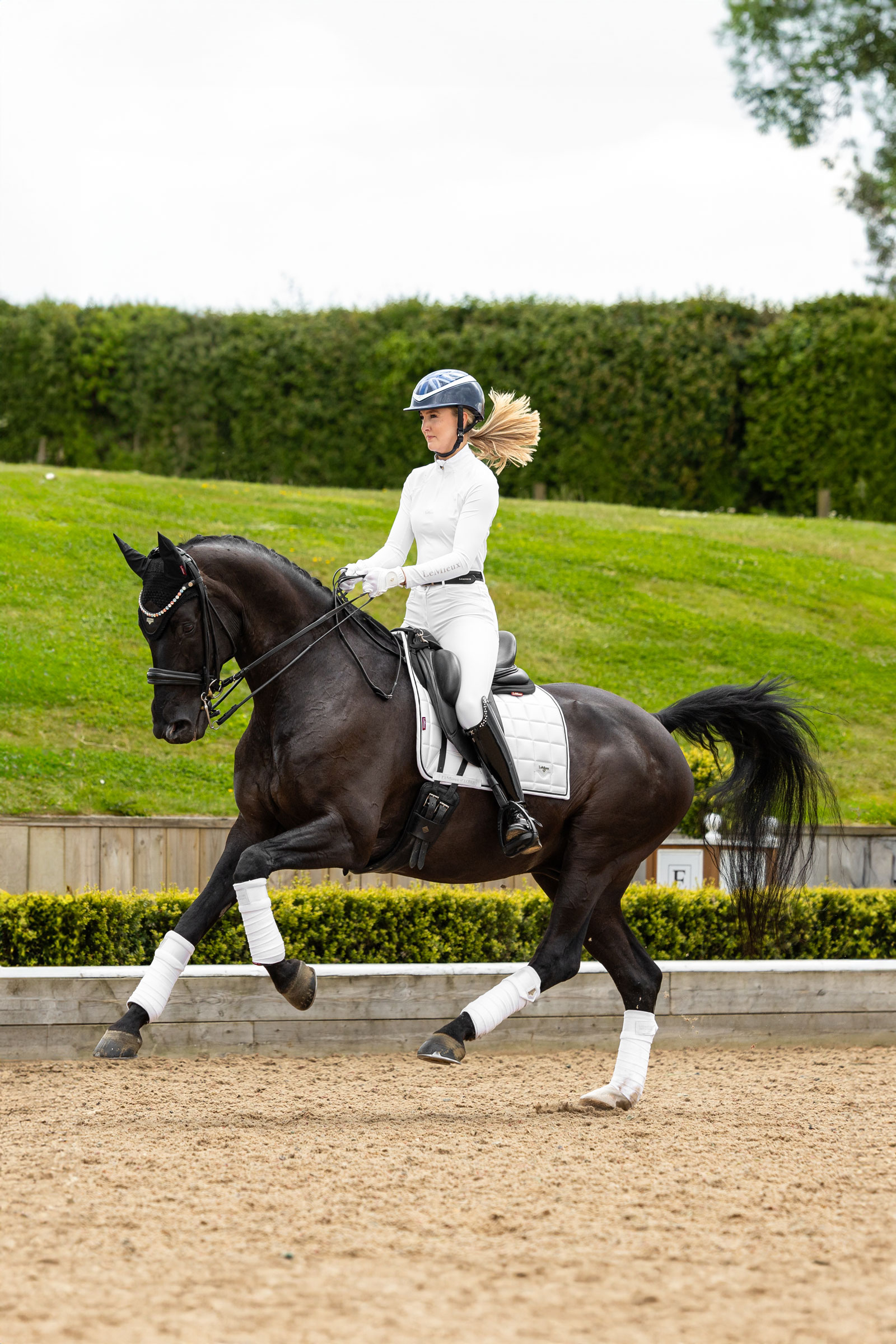 LeMieux Loire klassinen neli&ouml; koulusatula satulahuopa
