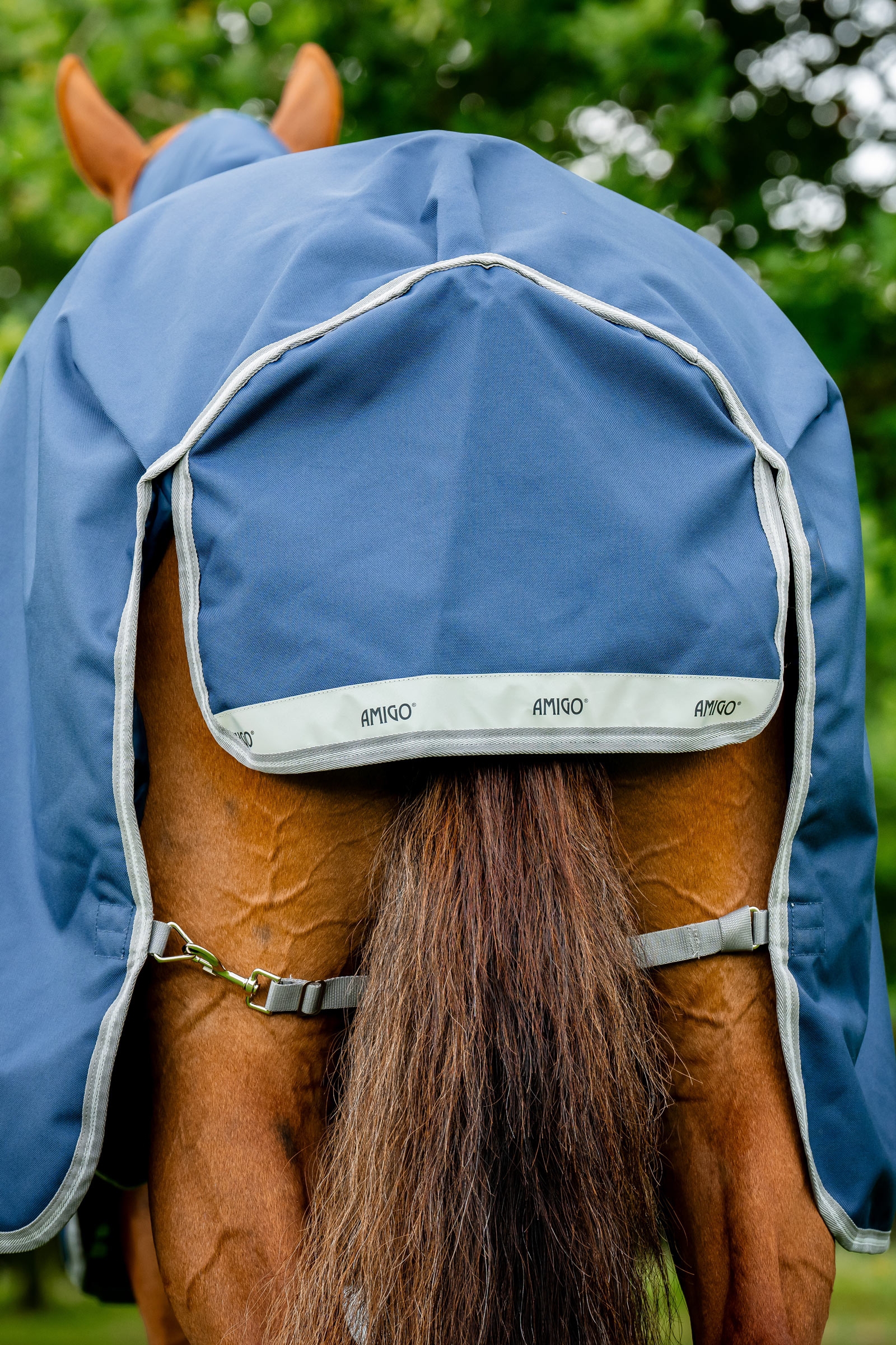 Horseware Amigo 1200D Plus sadeloimi, 250 g