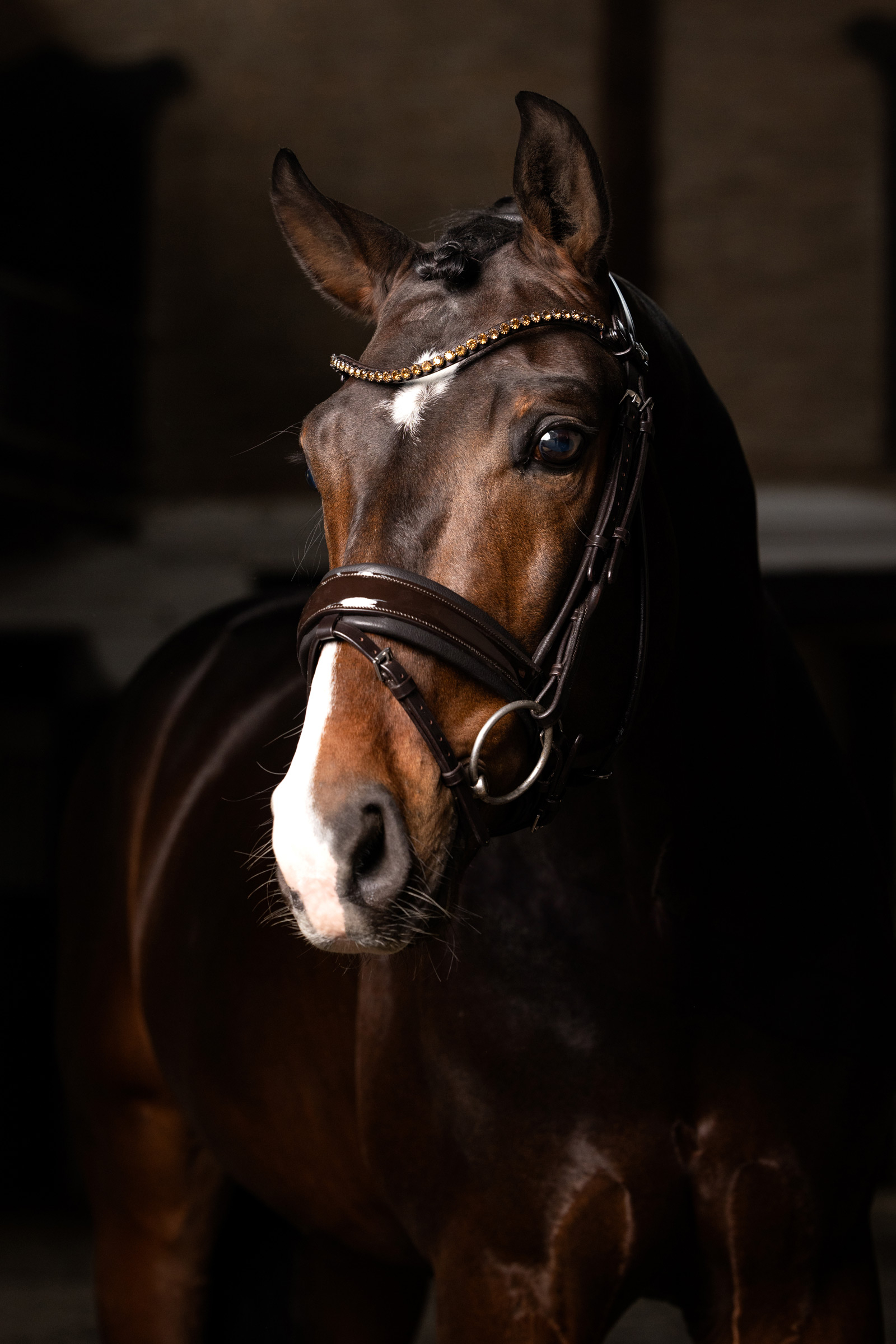 LeMieux Kudos Patentti Kouluratsastuksen Suitset