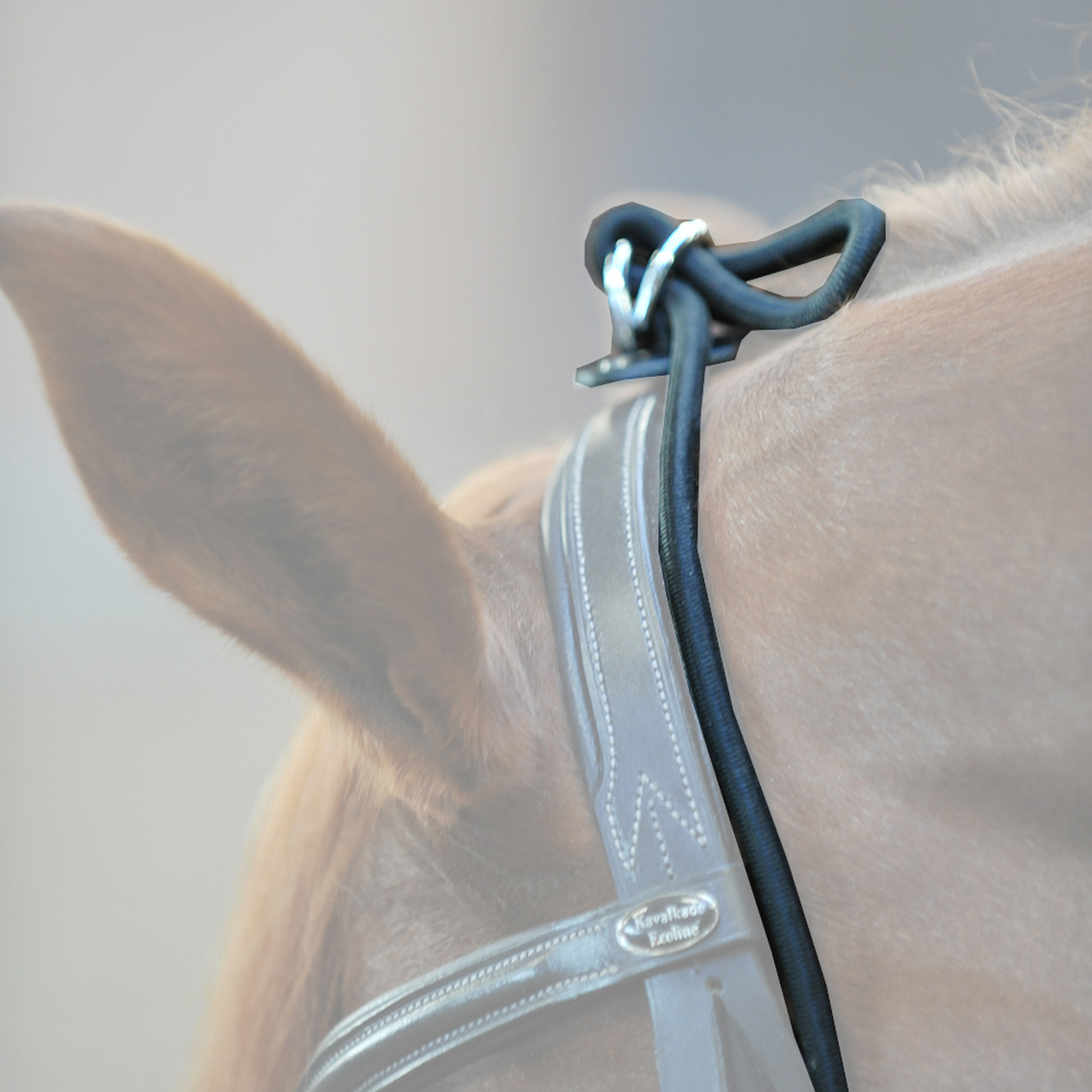 Kavalkade joustochambon