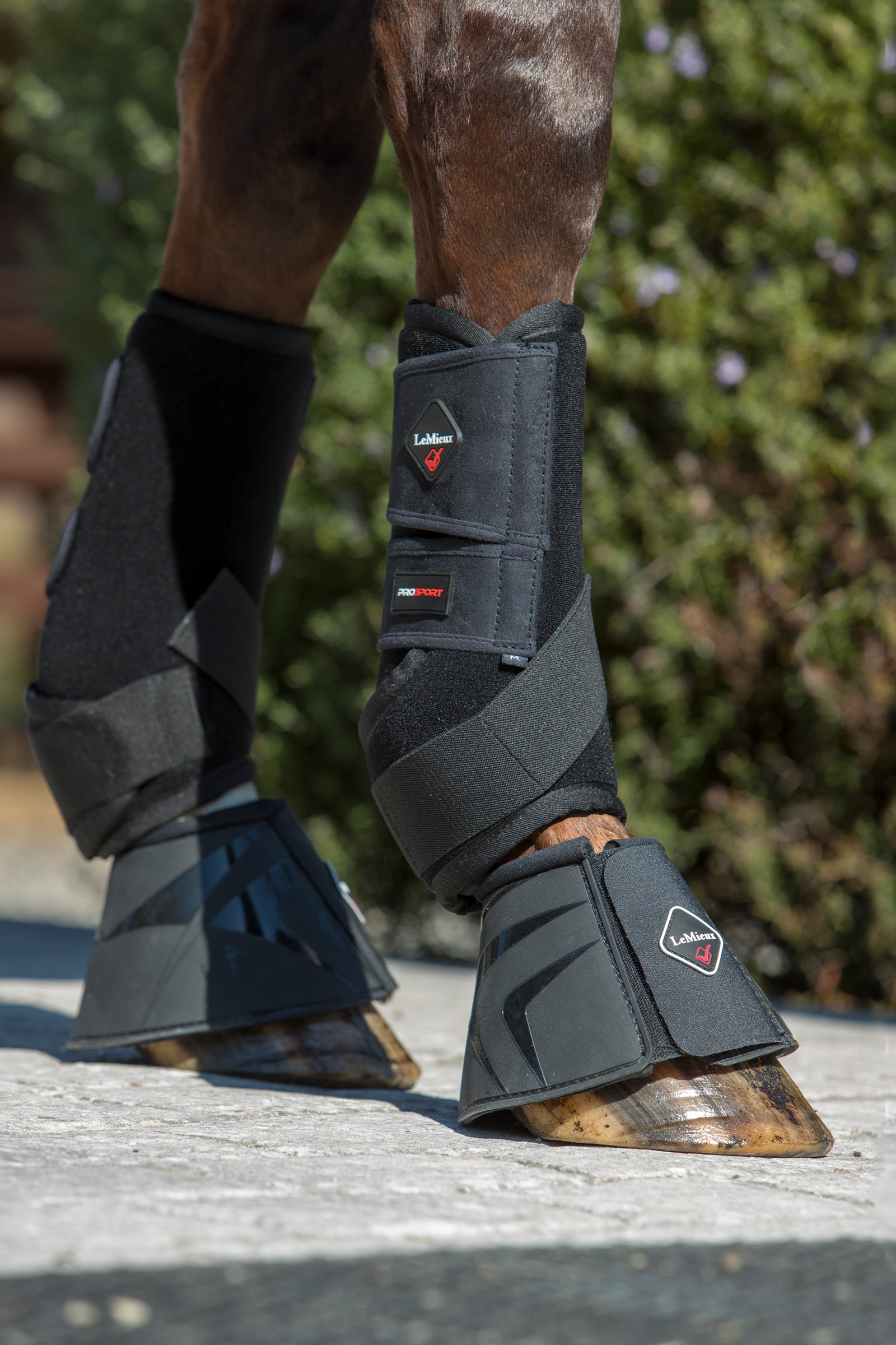 LeMieux Ultra Support Bootsit hevoselle