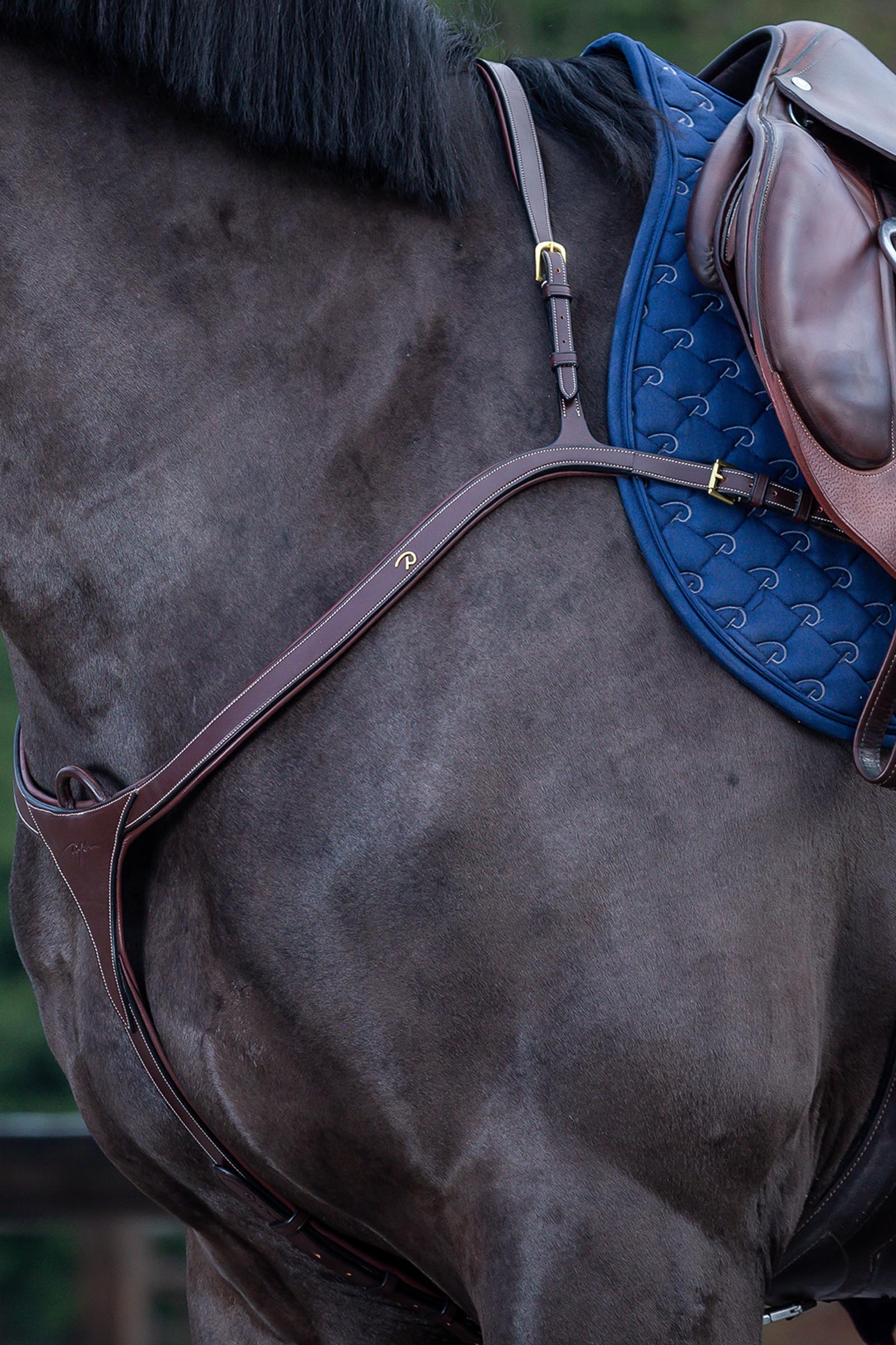 Brown Dy'on D Collection rintaremmi, jossa pitkä silta