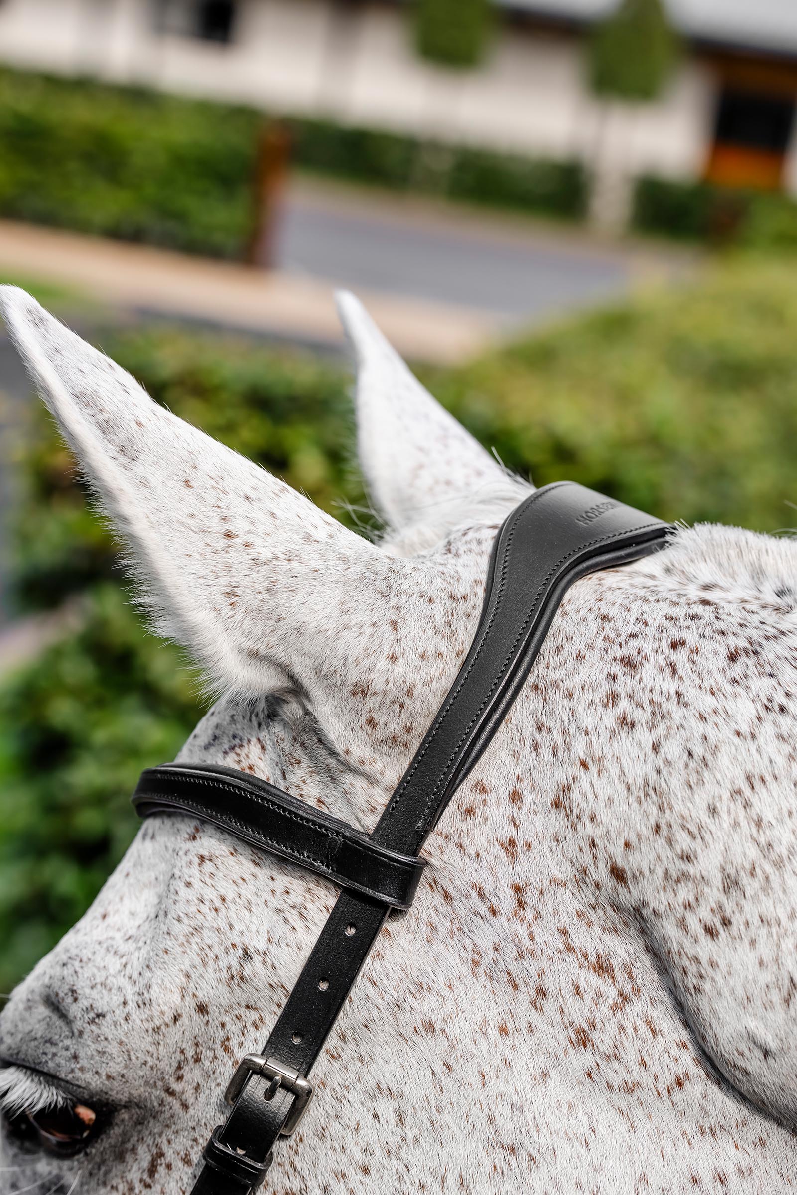 Horseware Rambo Micklem kilpailusuitset