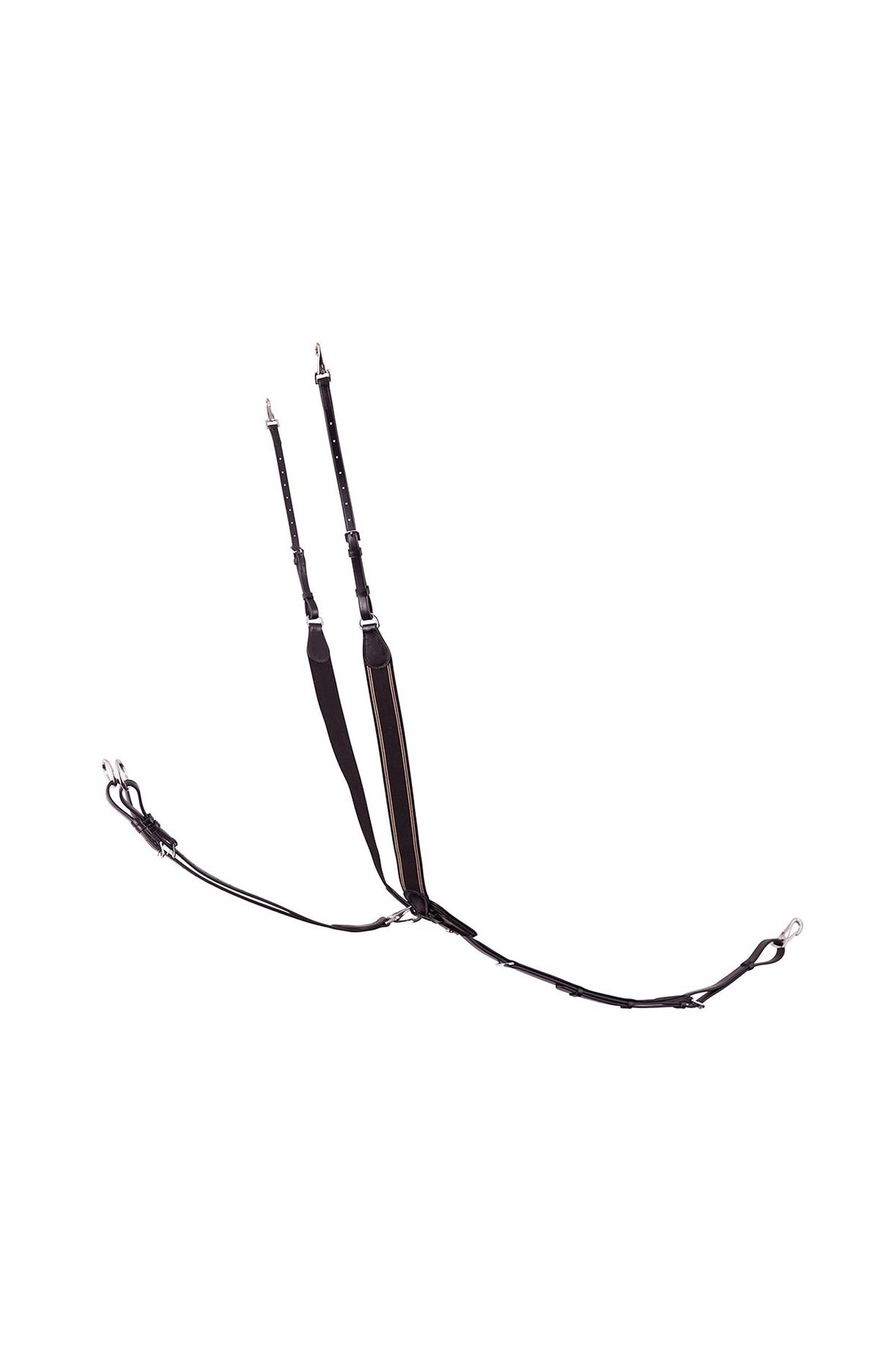 BR Taunton joustava rintaremmi irrotettavalla martingaalilla