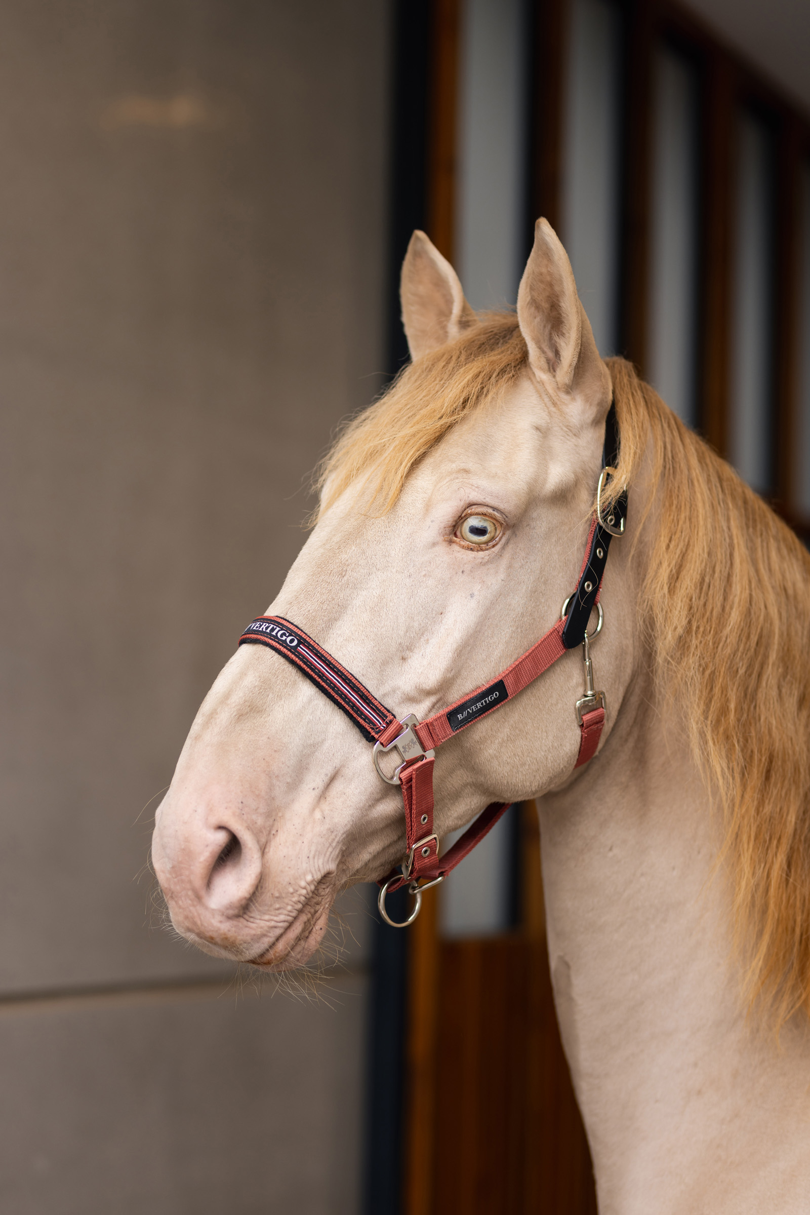 B Vertigo Empowerment laidunriimu