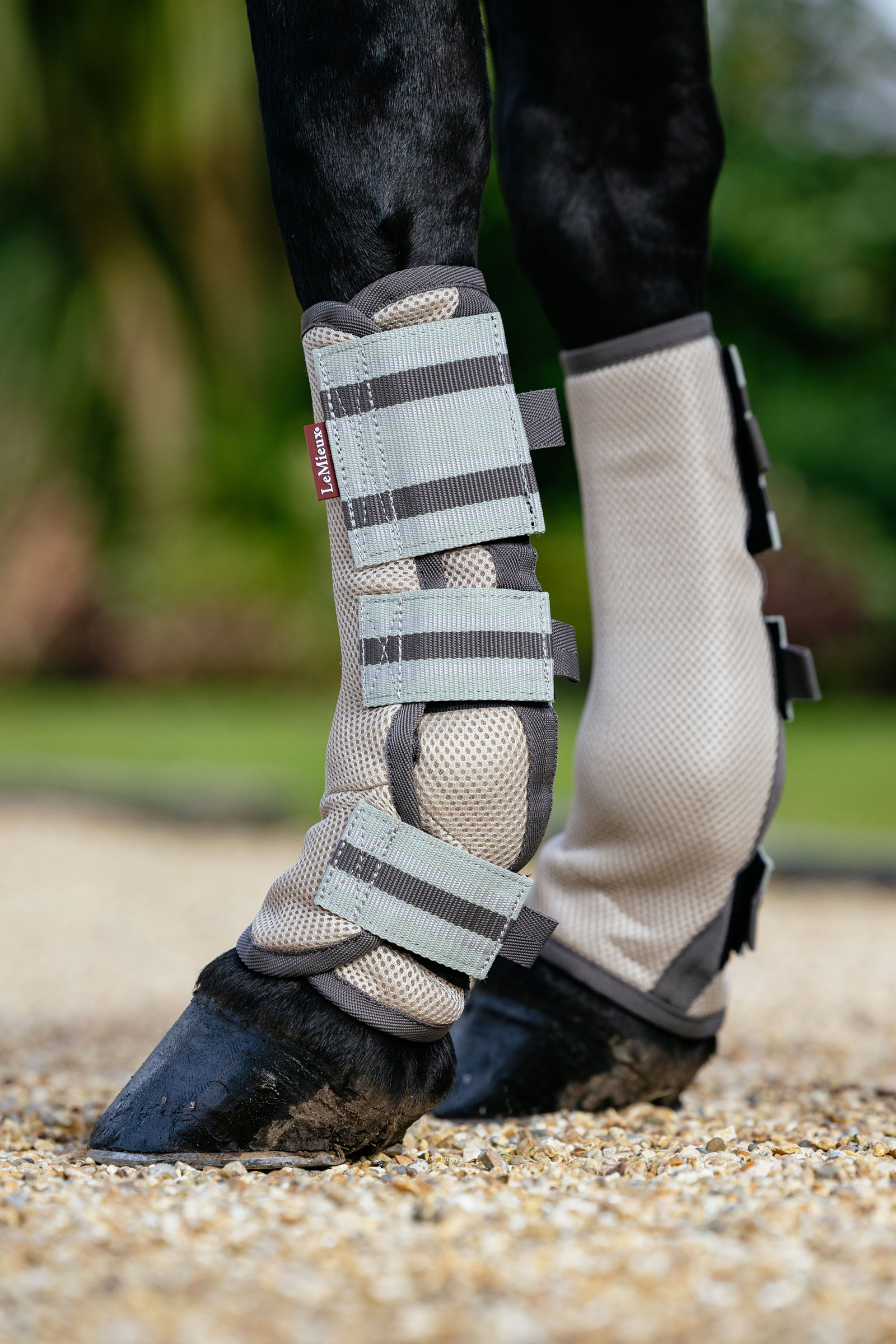 LeMieux Arika mesh k&auml;rp&auml;ssuojat setti 4 kappaletta