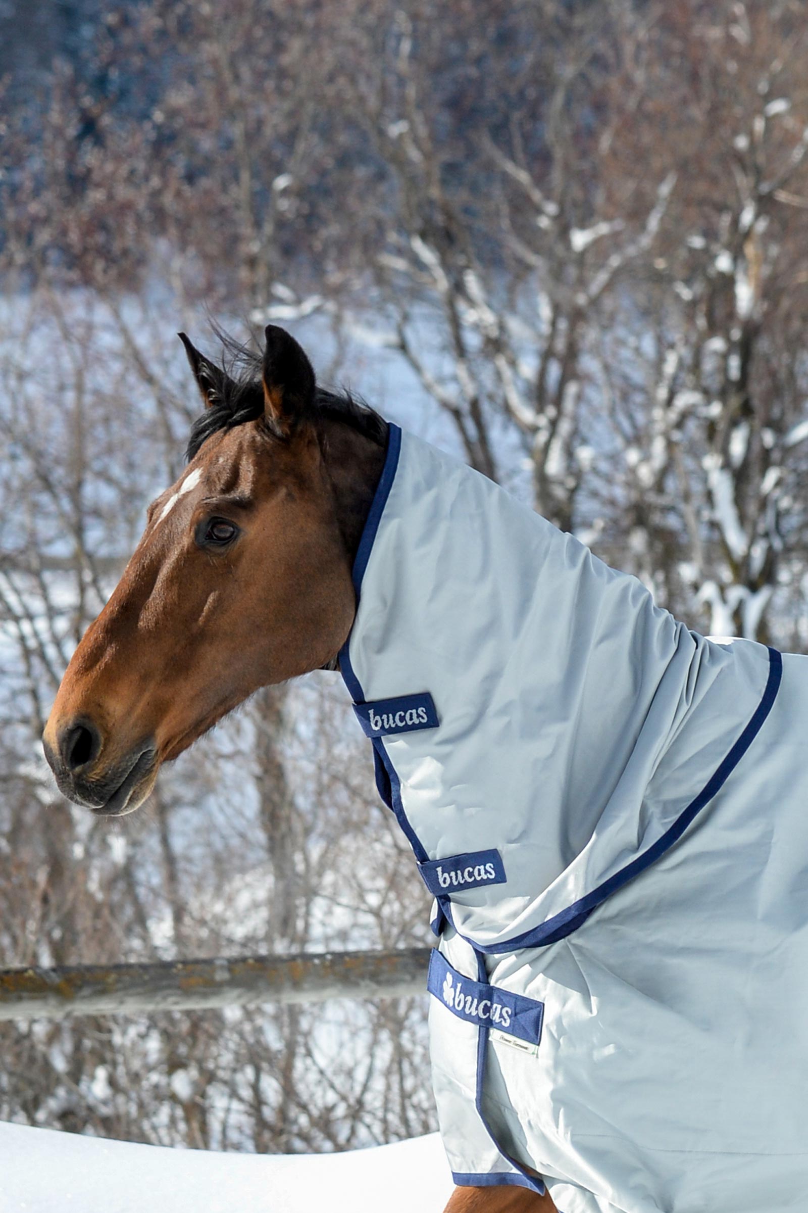 Bucas Power kaulaosa ulkoloimeen, 300g