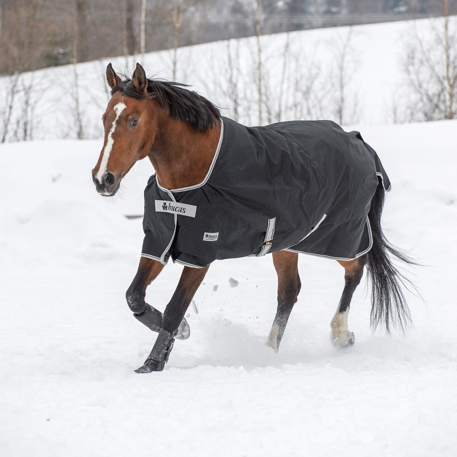 Bucas Anniversary Light SD ulkoloimi, 150 g