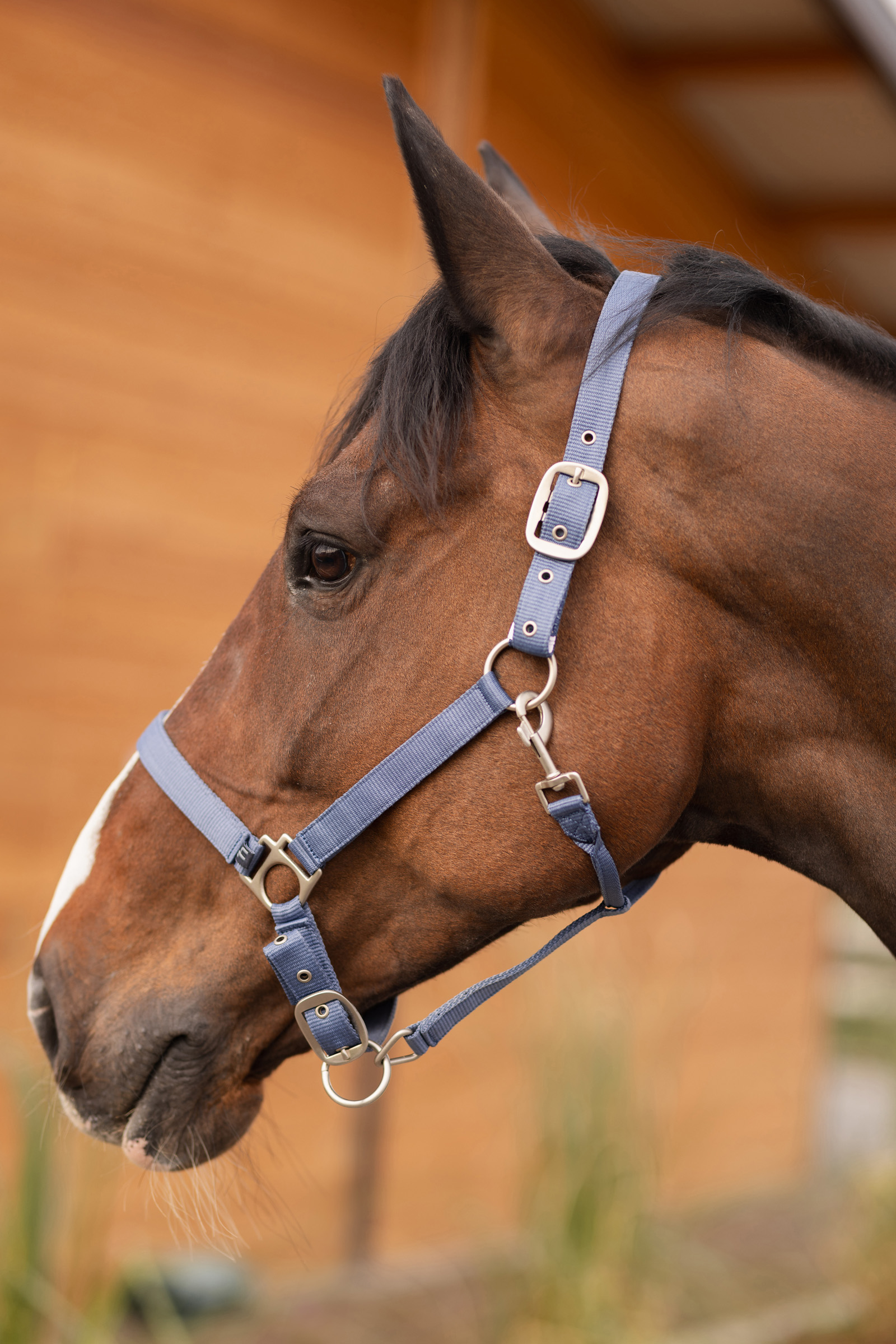 Horze Rose Tonique riimu