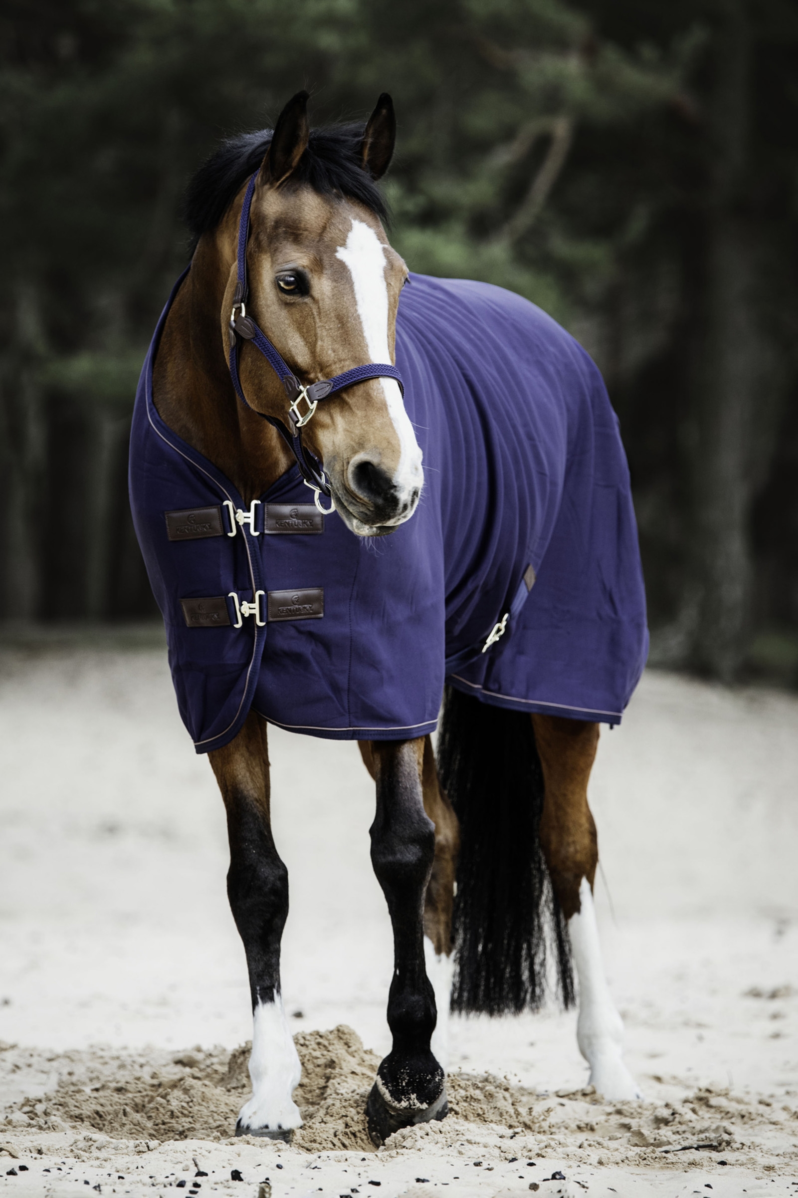 Kentucky Horsewear hikiloimi fleecestä
