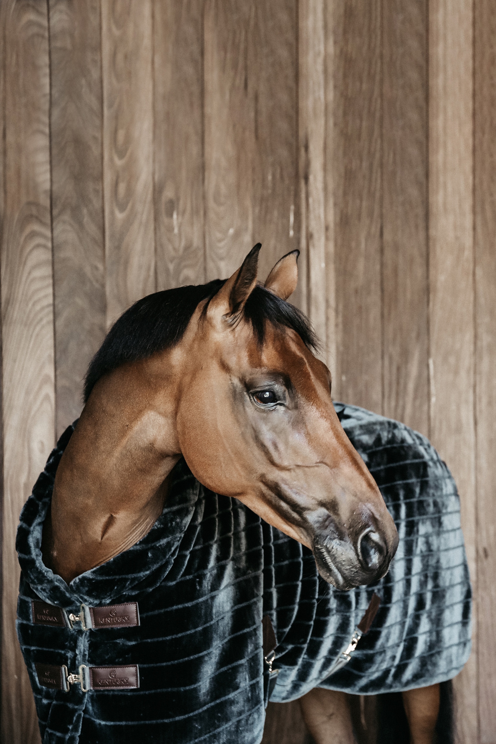 Kentucky Horsewear Fake Fur talliloimi