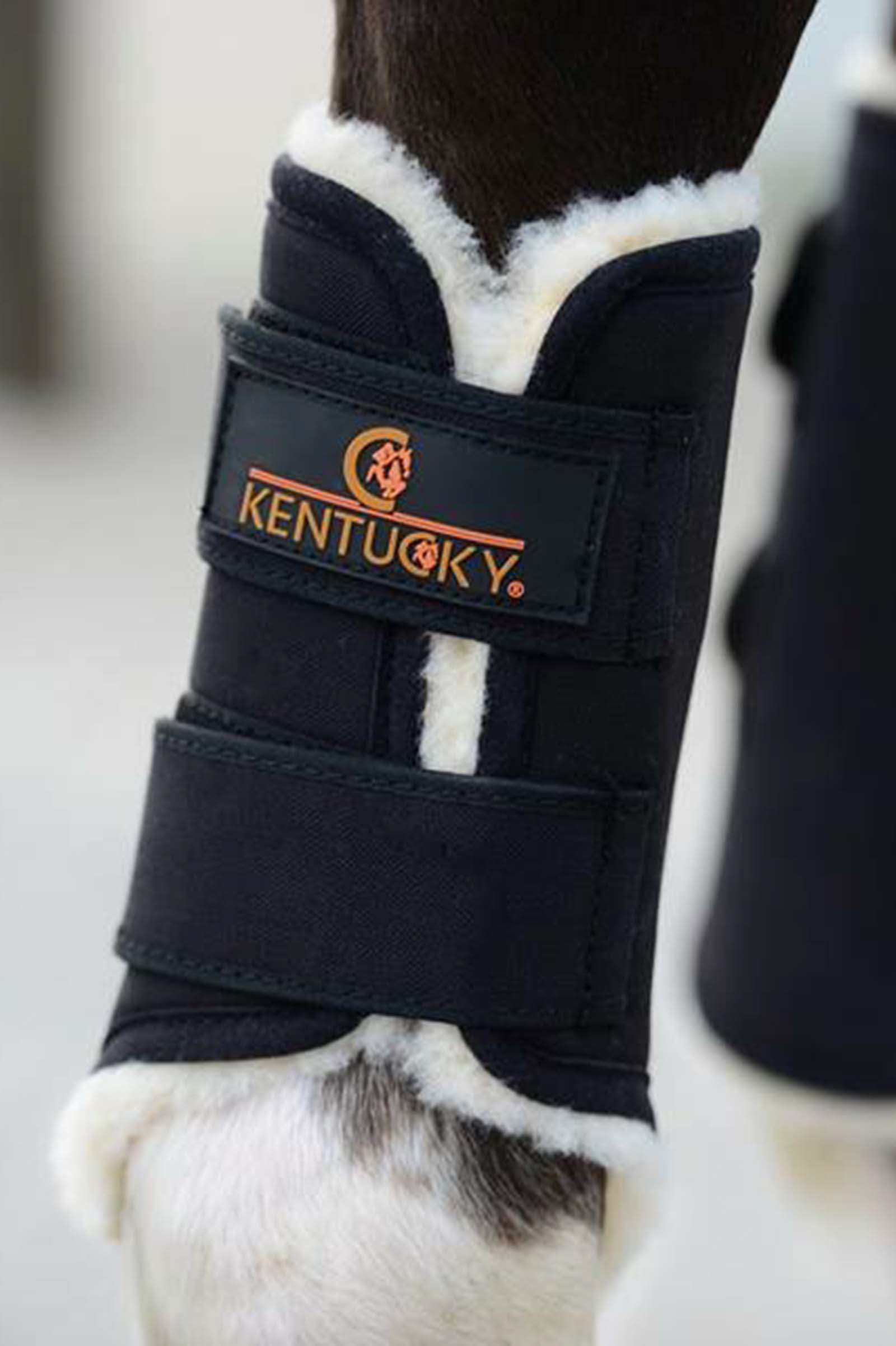 Kentucky Horsewear Solimbra Turnout etujalan suojat