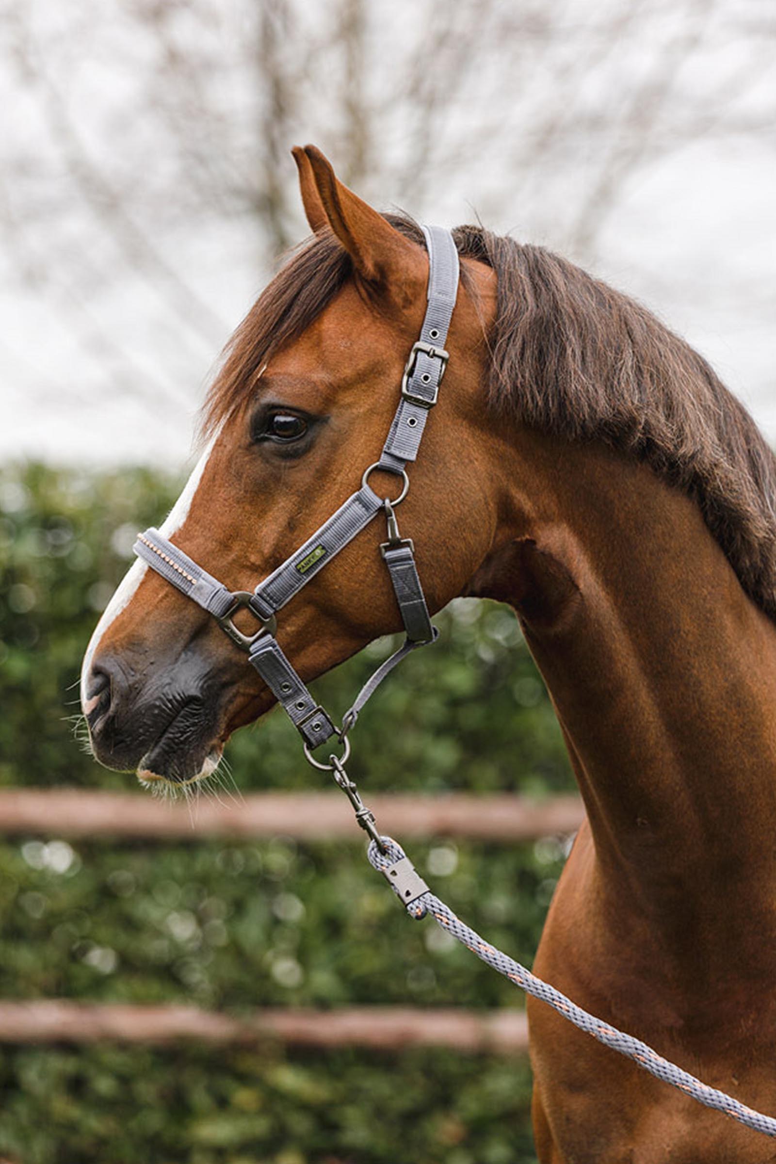 ANKY Stones Riimu ja Riimunnaru Setti