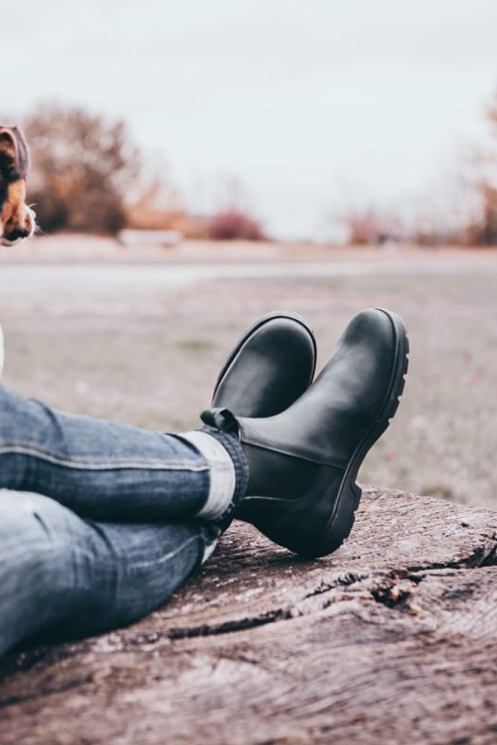 Suedwind Footwear 1888 Chelsea Jodhpur Keng&auml;t