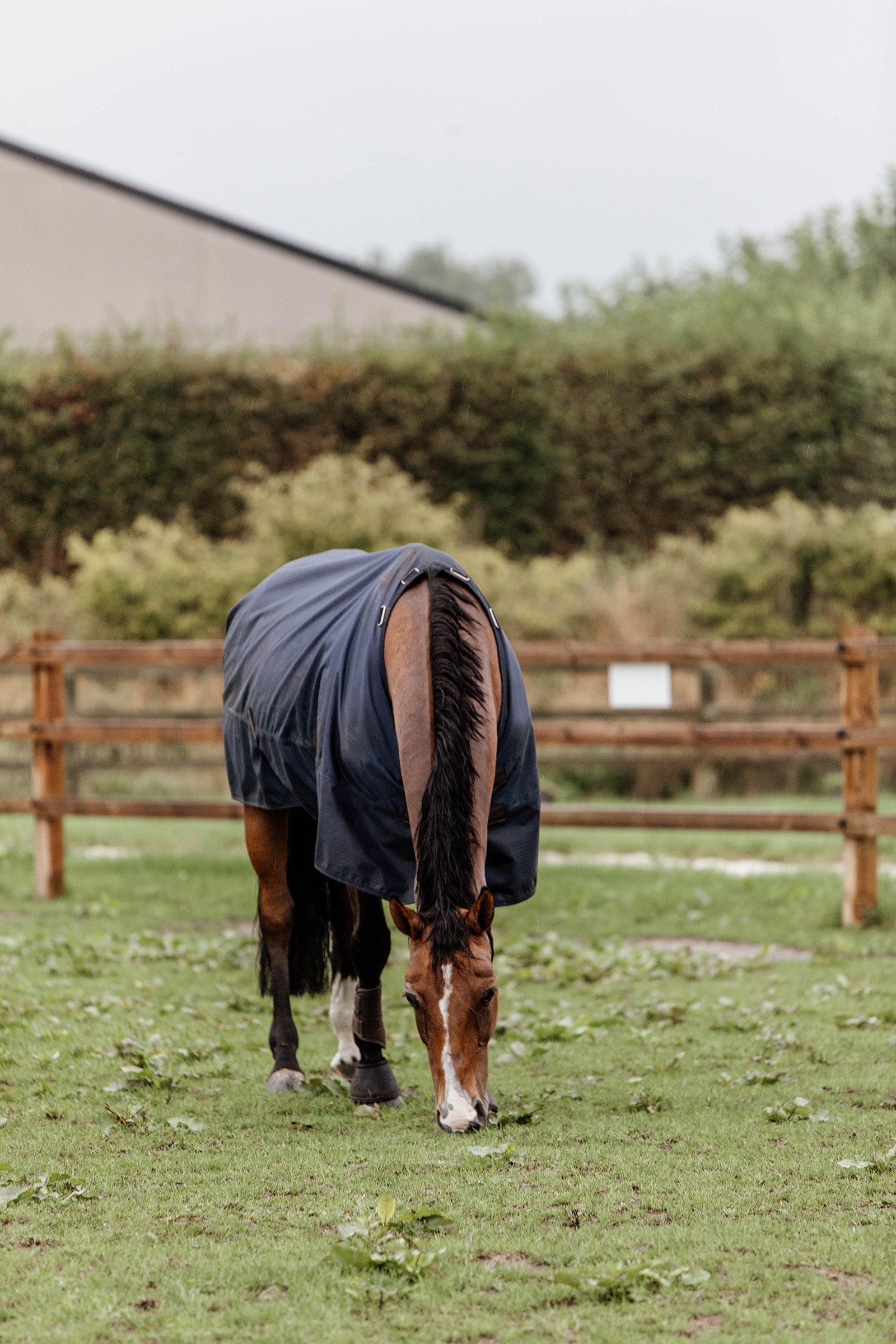 Kentucky Horsewear All Weather ulkoloimi, 300 g