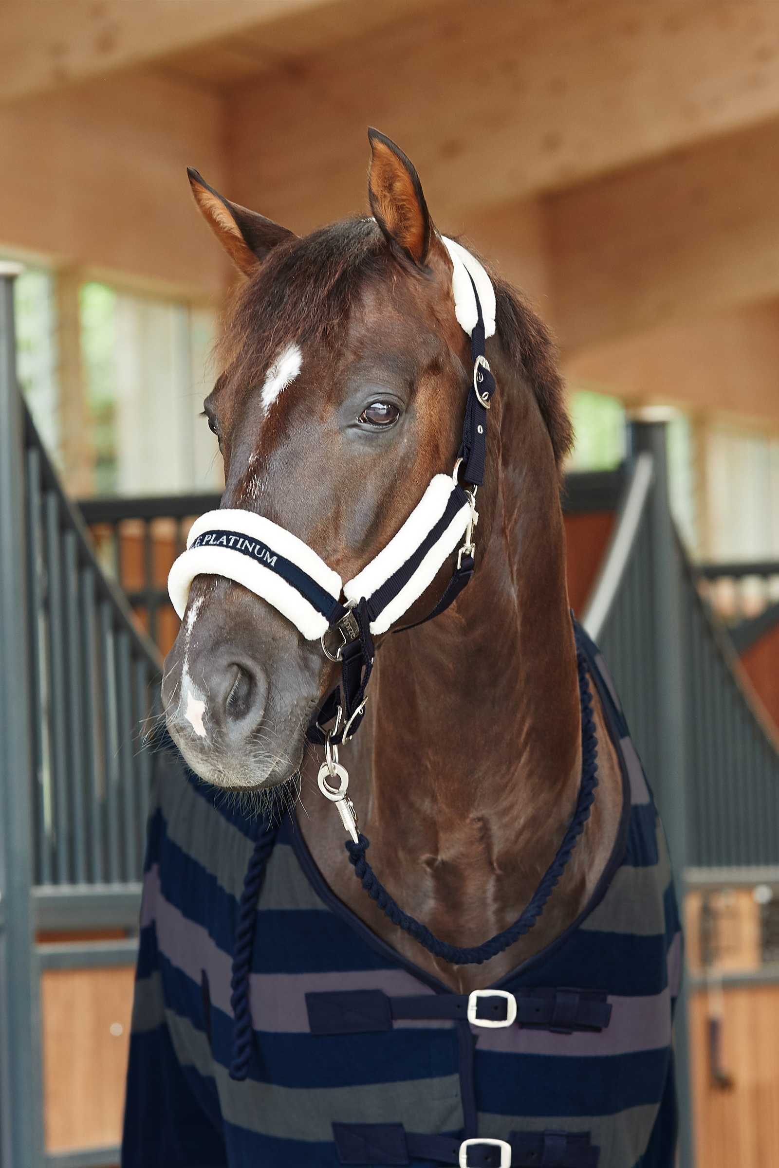 Horze Stanford riimu tekoturkisvuorauksella