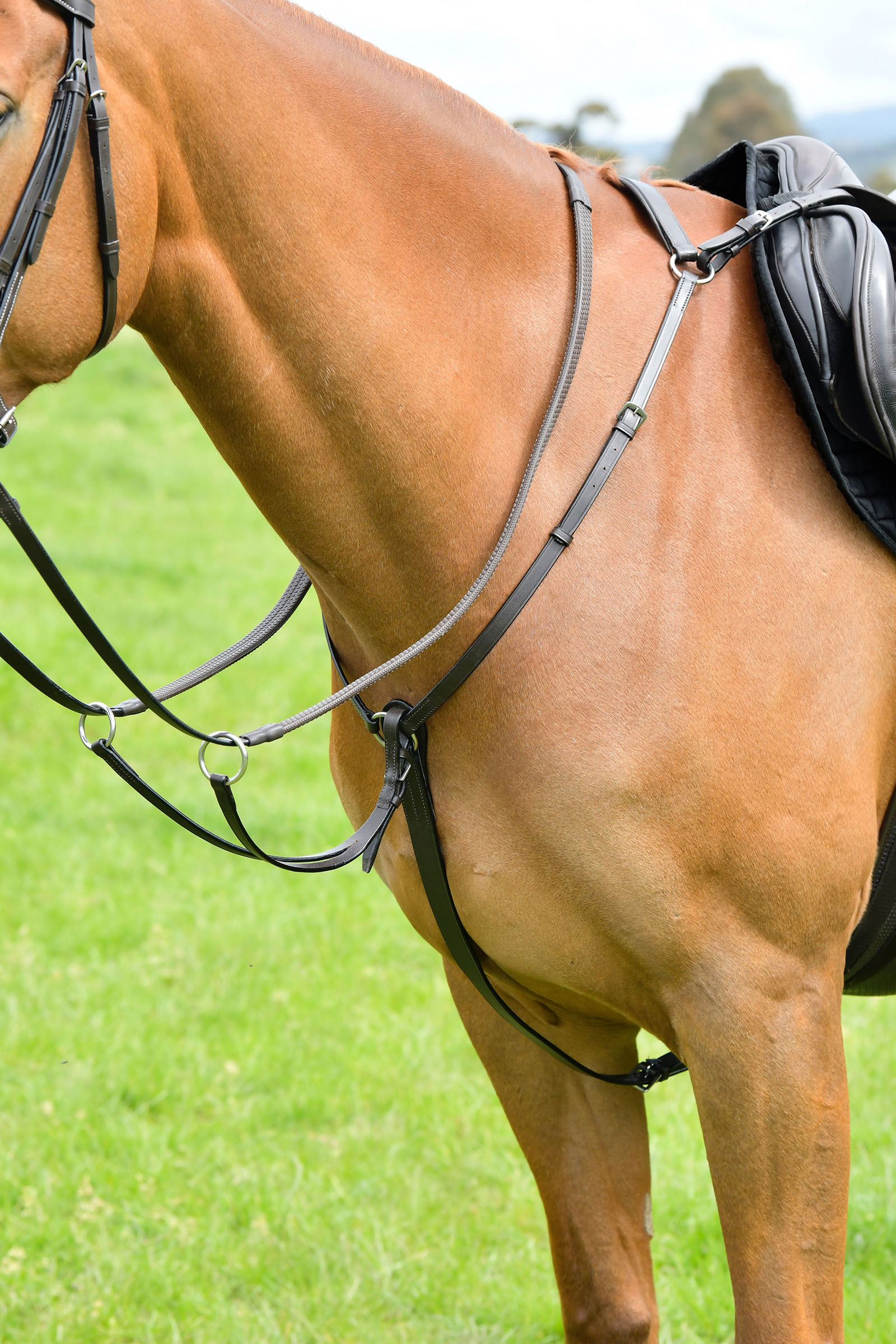 Brown Kincade Classic 3-pisteen rintaremmi juoksevalla martingaalilla