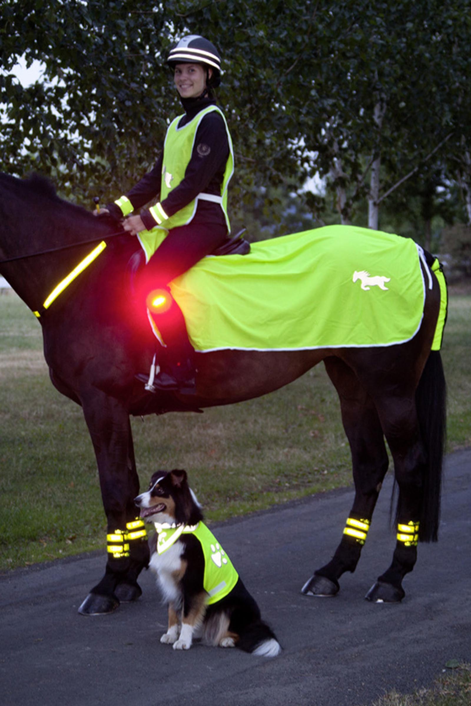 USG heijastava loimi