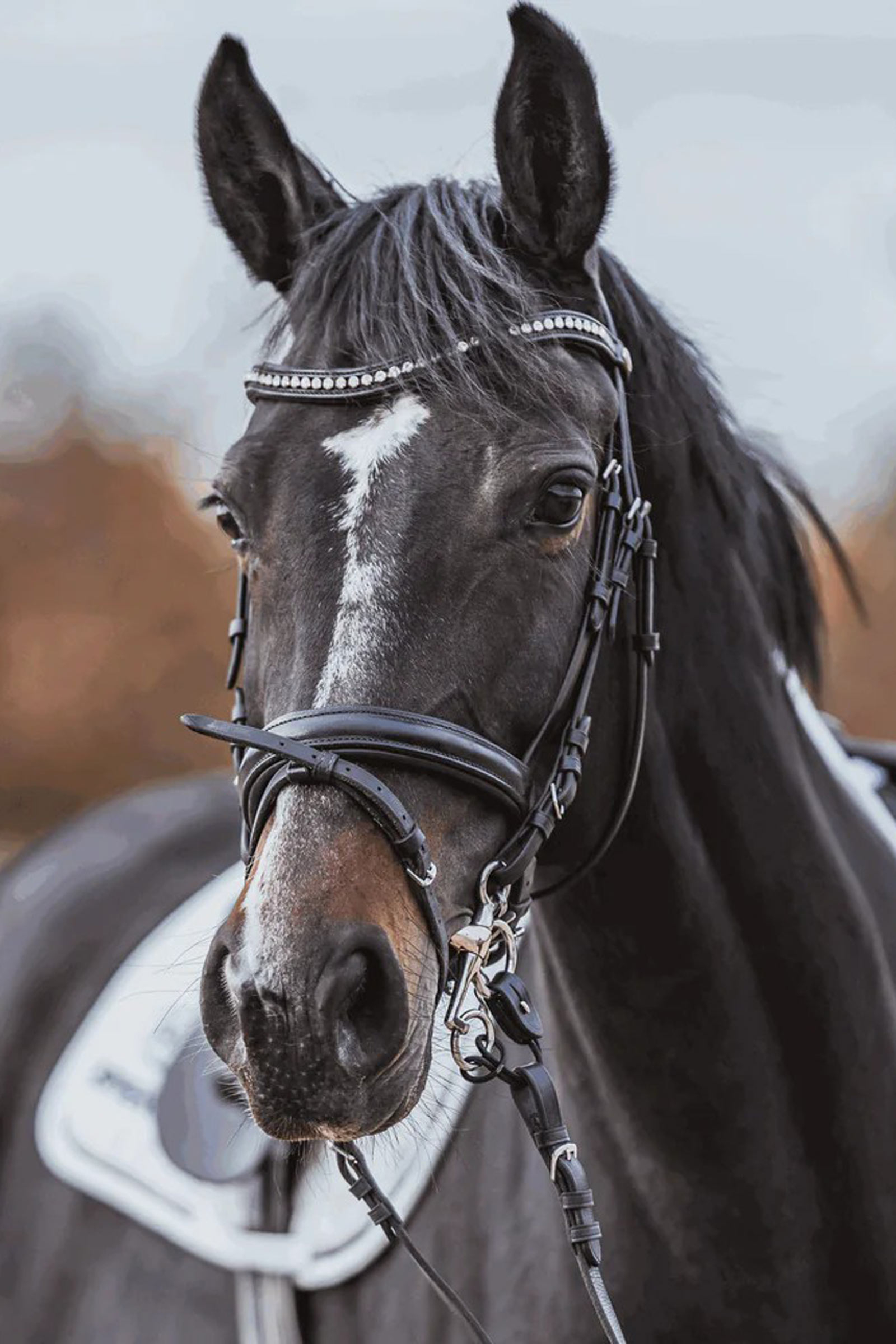 Sprenger Dynamic RS Pelham, Sensogan, kaksinkertainen murtokappale, 16 mm