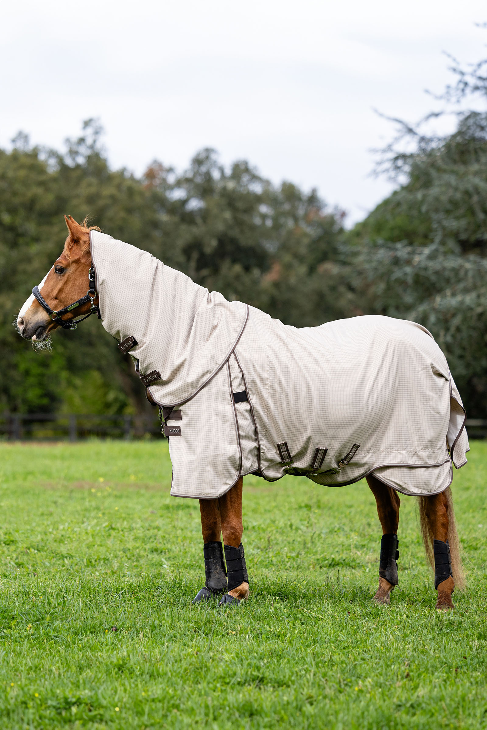 LeMieux Kudos ulkoloimi