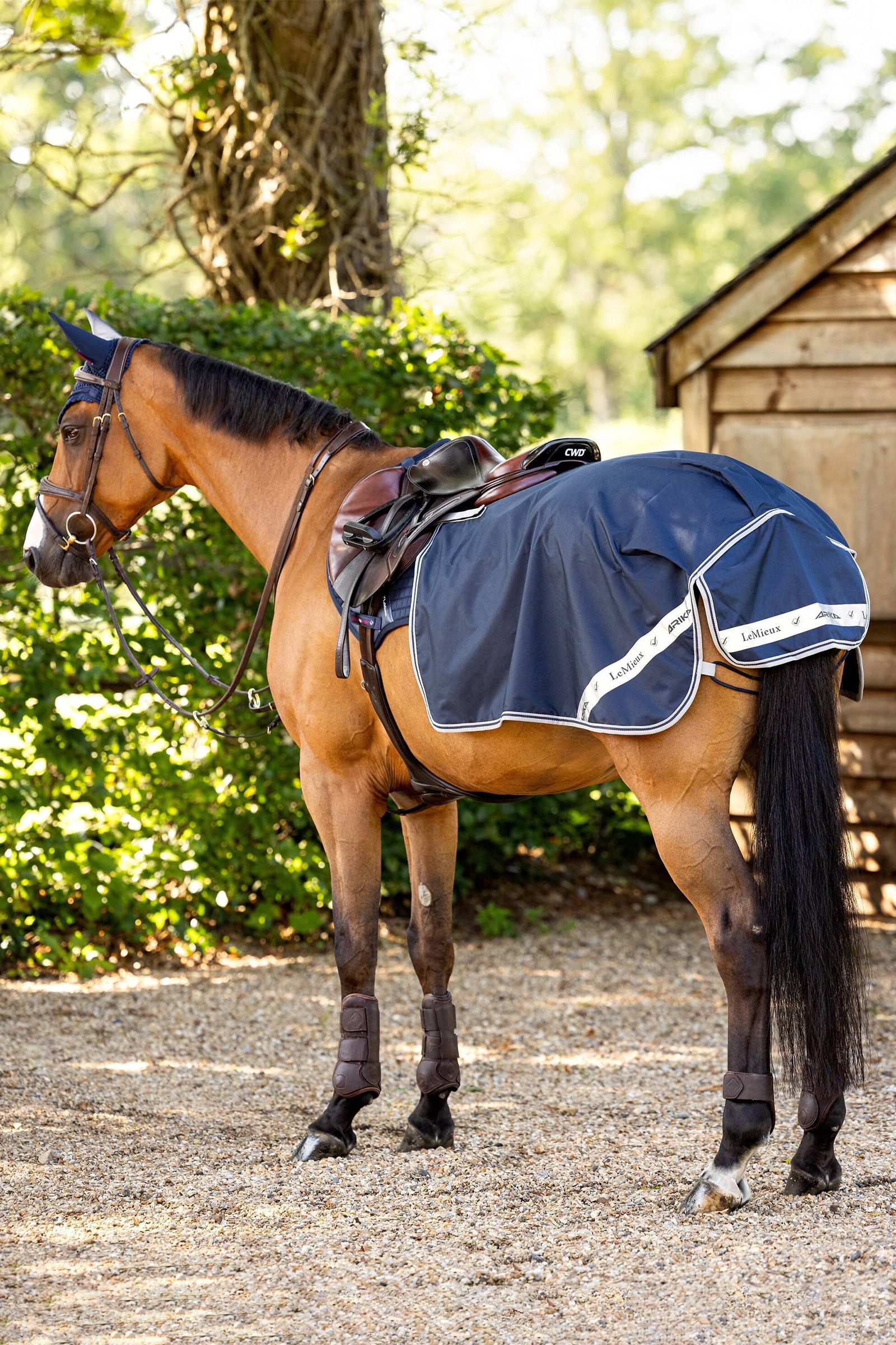 LeMieux Vedenpitävä liikuntapeitto