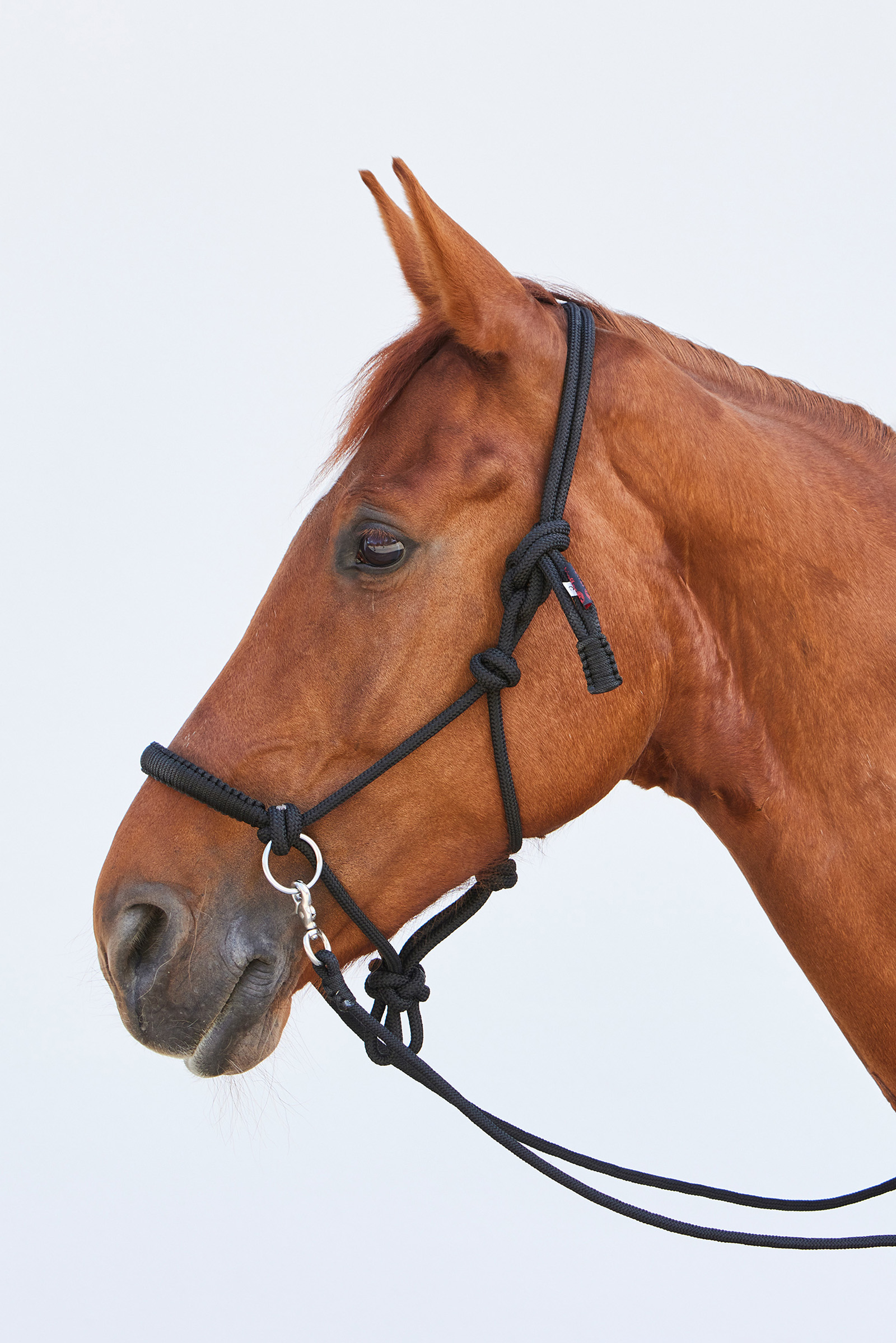 Kieffer Ruby naruriimu