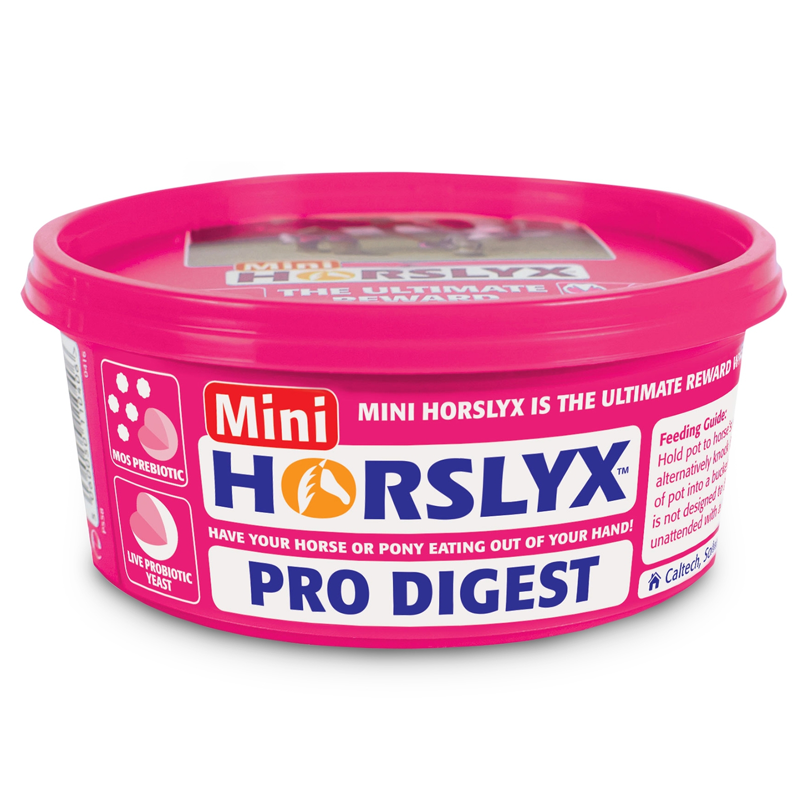 Horslyx Pro-Digest Balancer nuolukivi, 650g