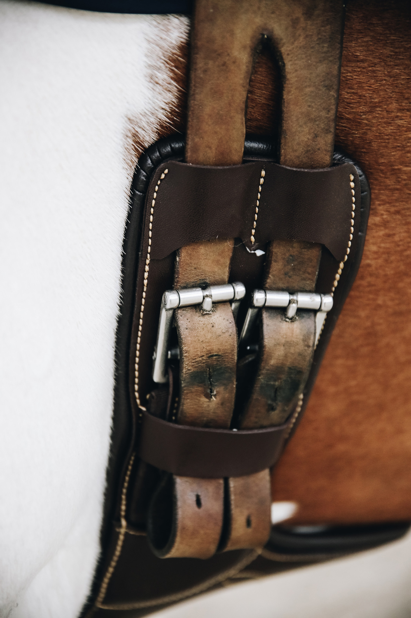 Kentucky Horsewear lyhyt satulavyö vatsapanssarilla