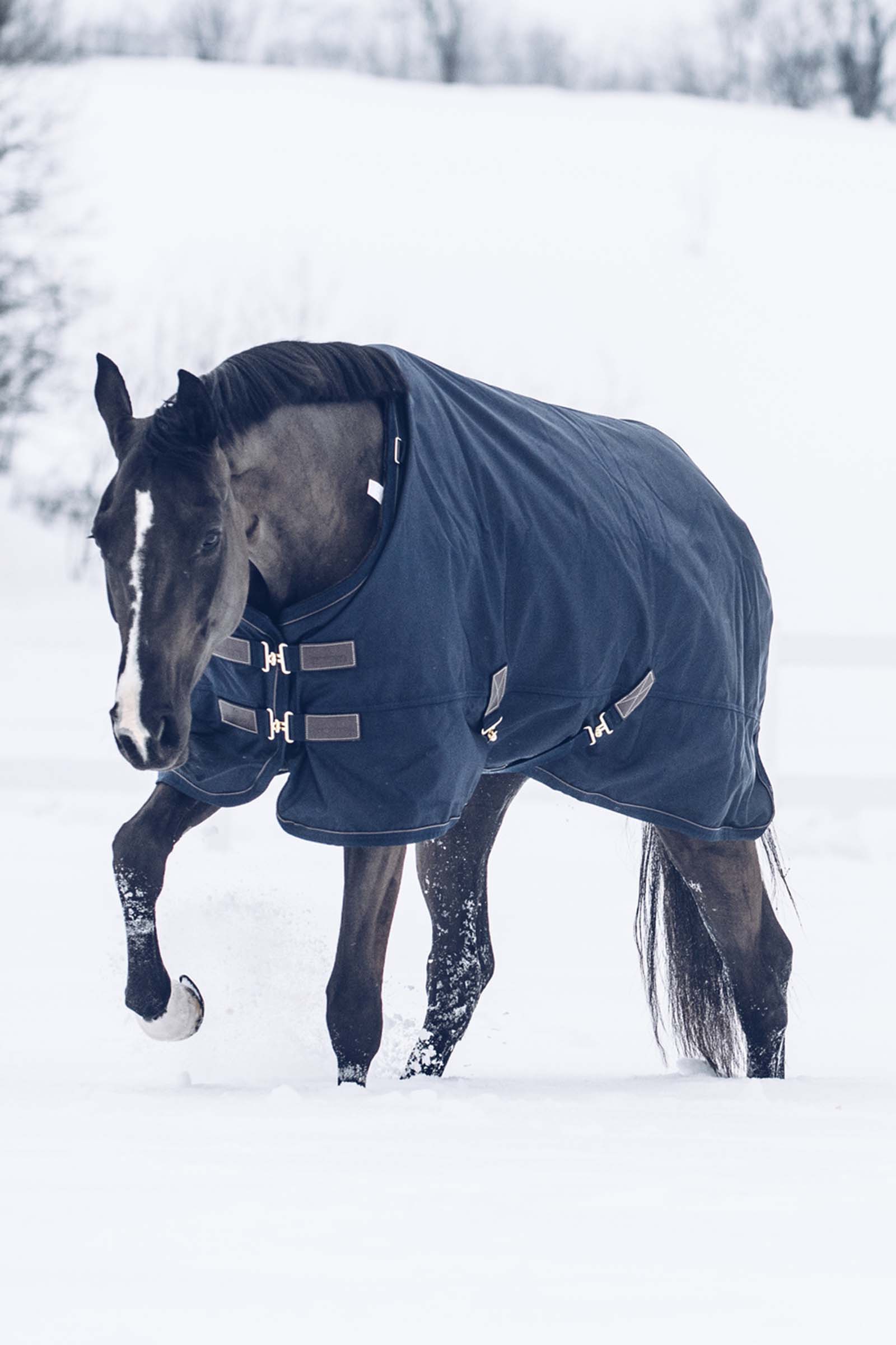 Kentucky Horsewear All Weather Waterproof Classic ulkoloimi, 300 g