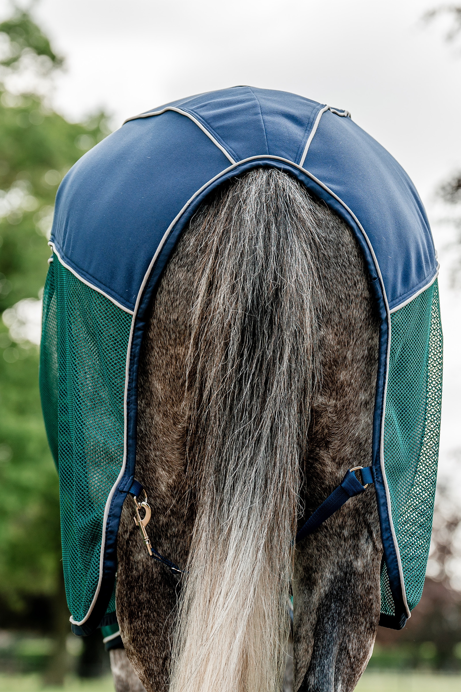 Horseware Signature Sport Hikoilupeite