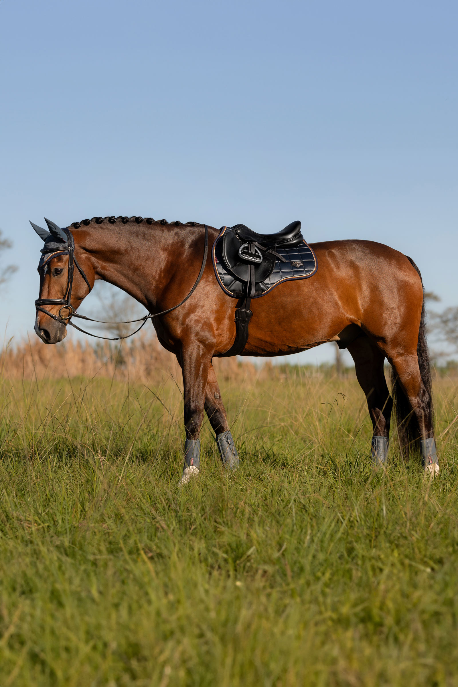 LeMieux Loire Classic Square yleissatulahuopa