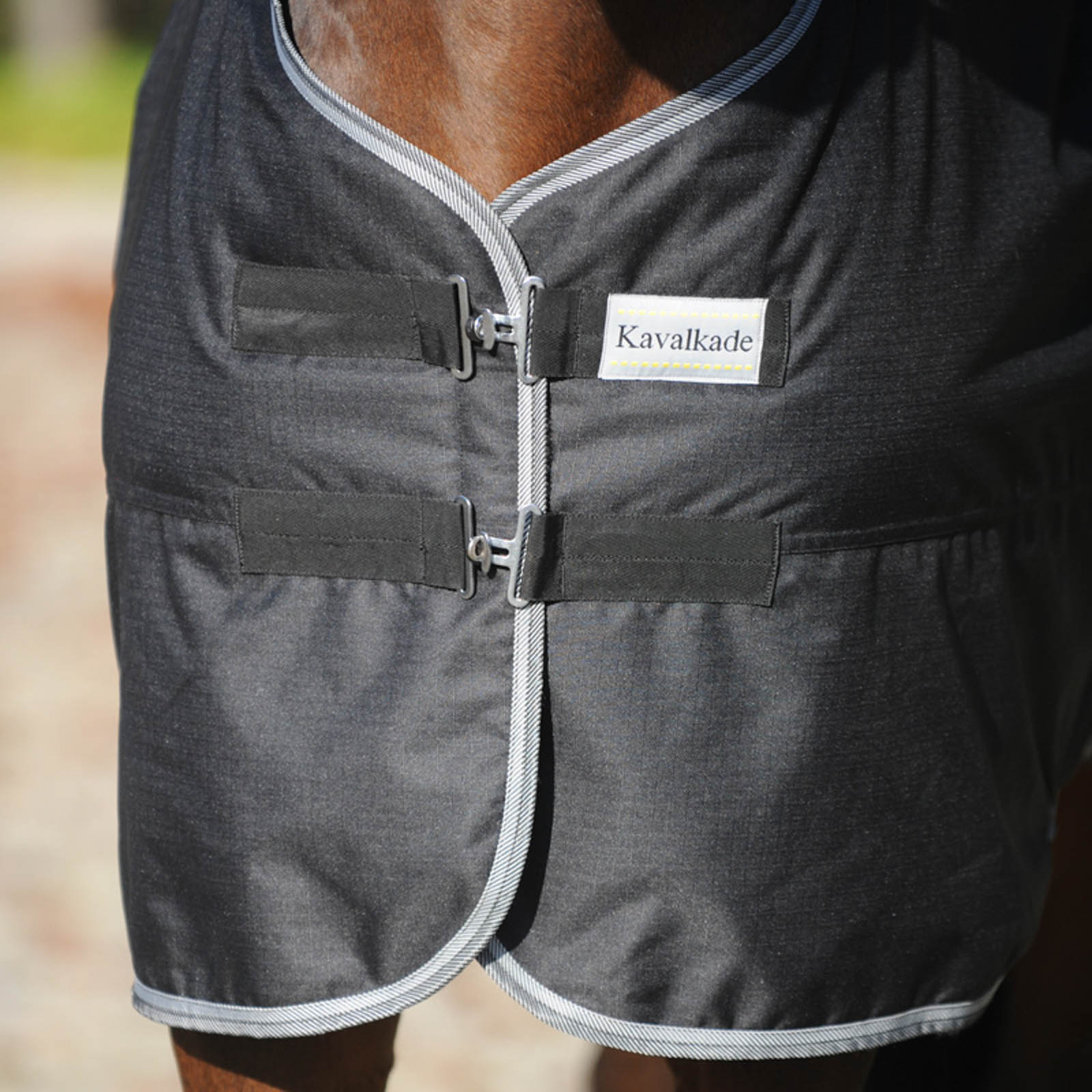 Kavalkade Winnipeg ulkoloimi, 50 g