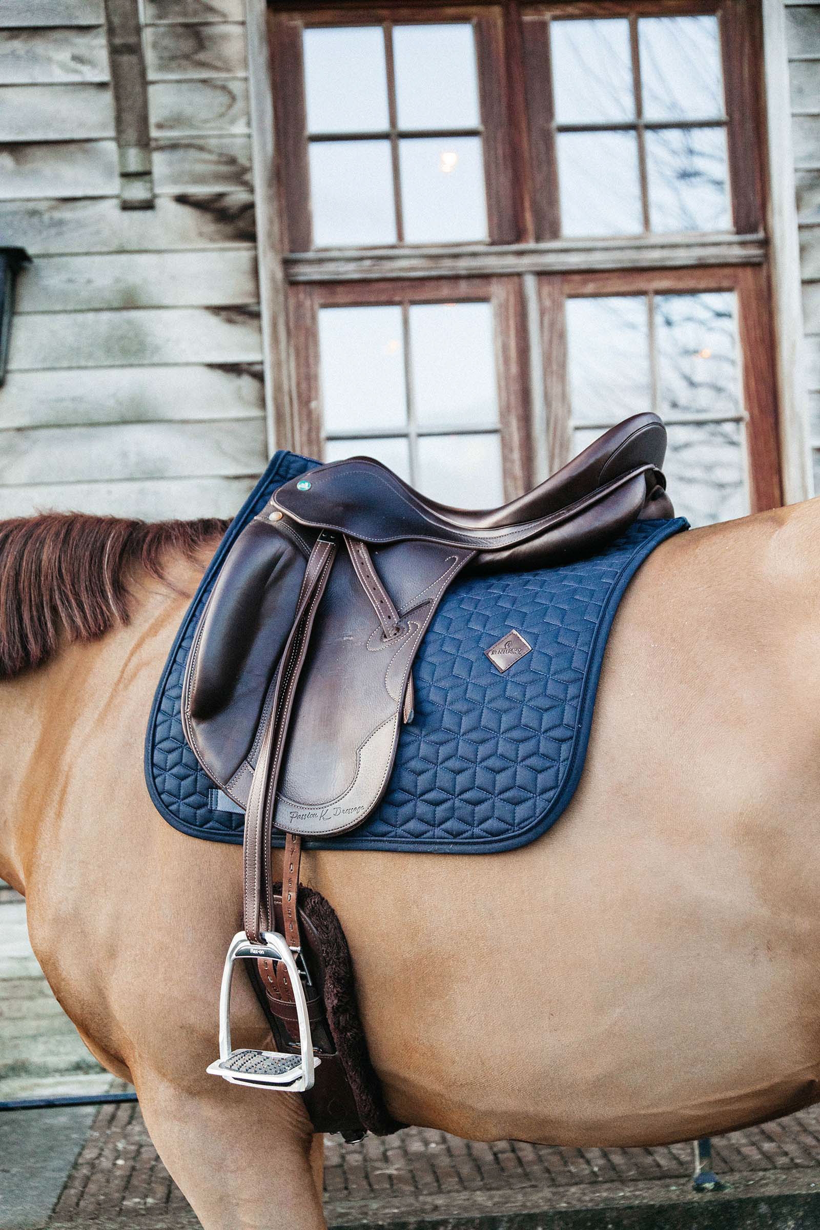 DB/AB Kentucky Horsewear Basic koulusatulahuopa