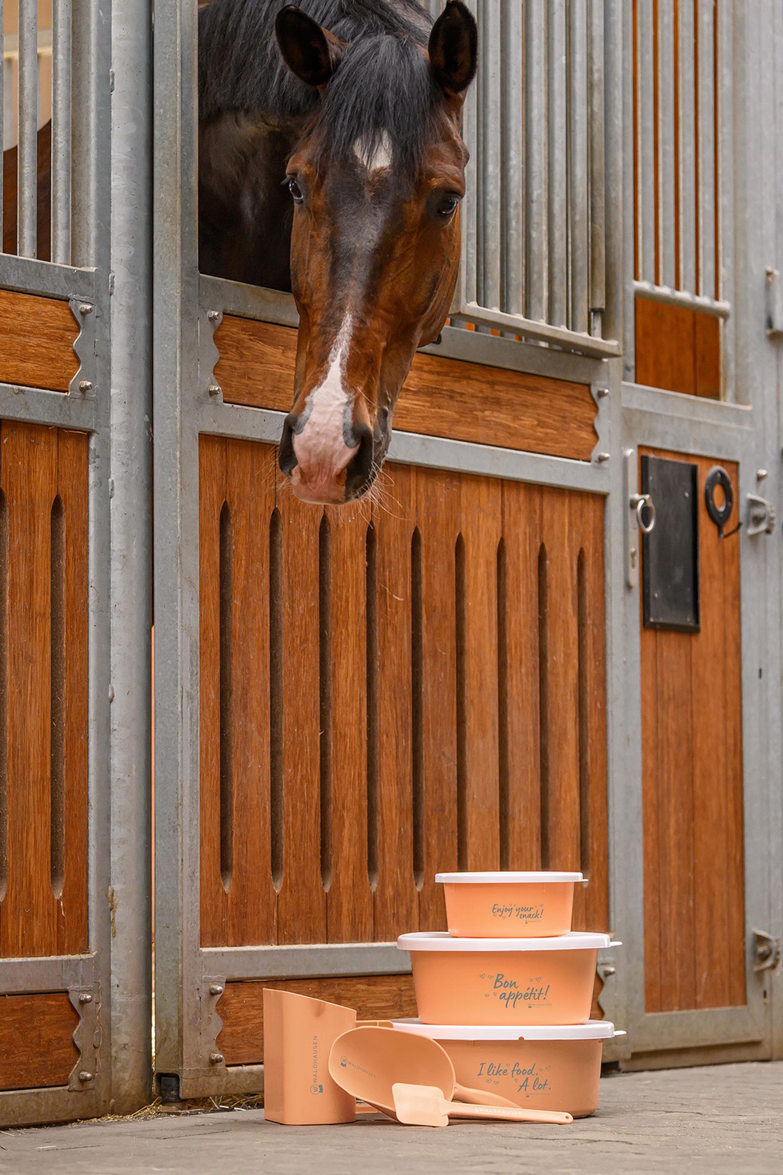 Waldhausen rehukauha (2L)