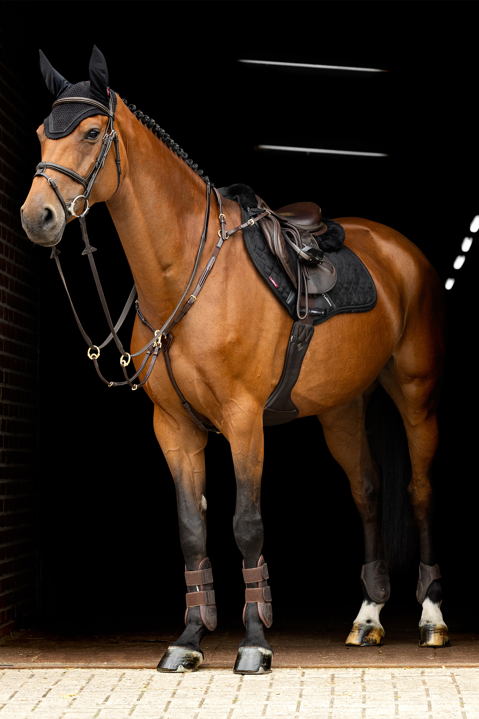 LeMieux Chrystal kärpäshuppu