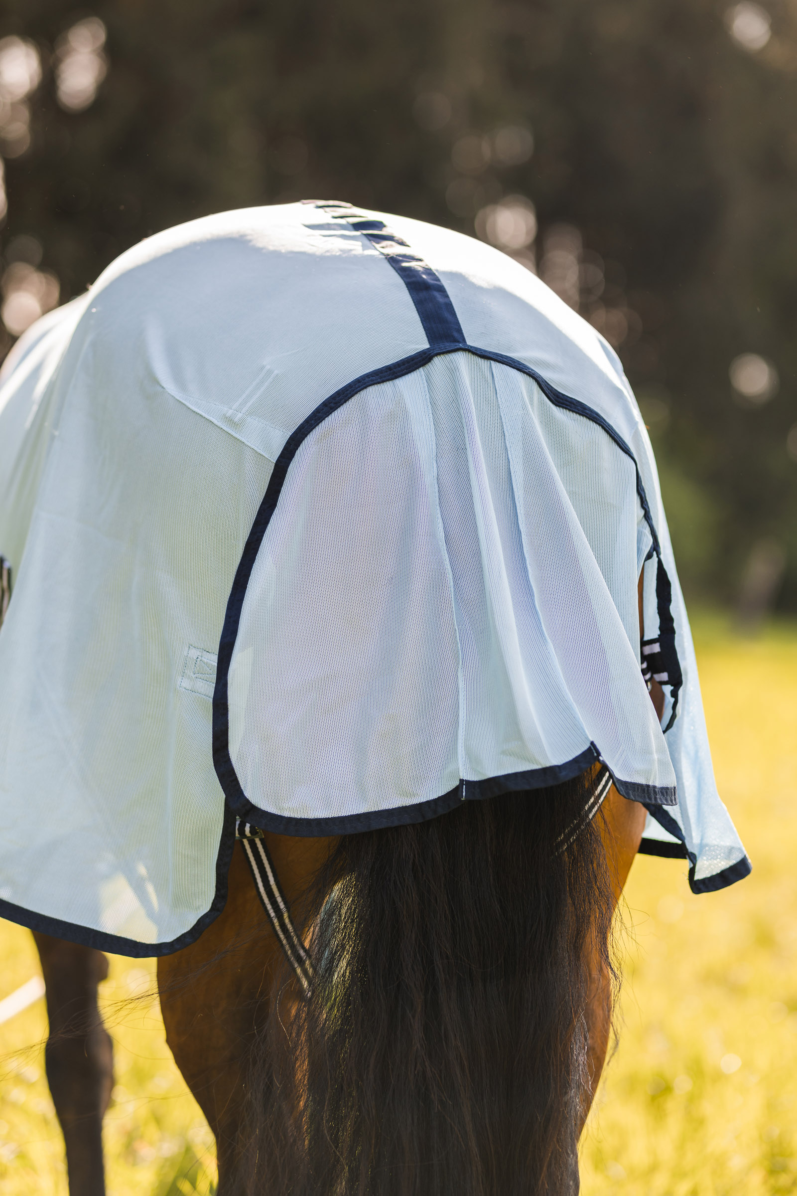 Horze Freja -kärpäsloimi kaulaosalla