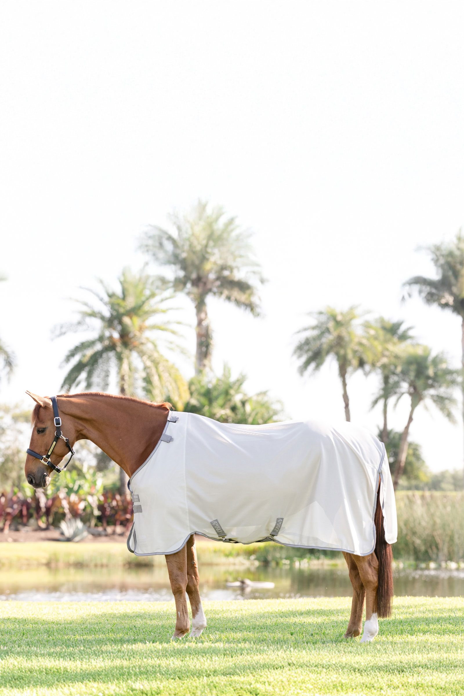 Horseware Amigo hy&ouml;nteisloimi UV-suojalla