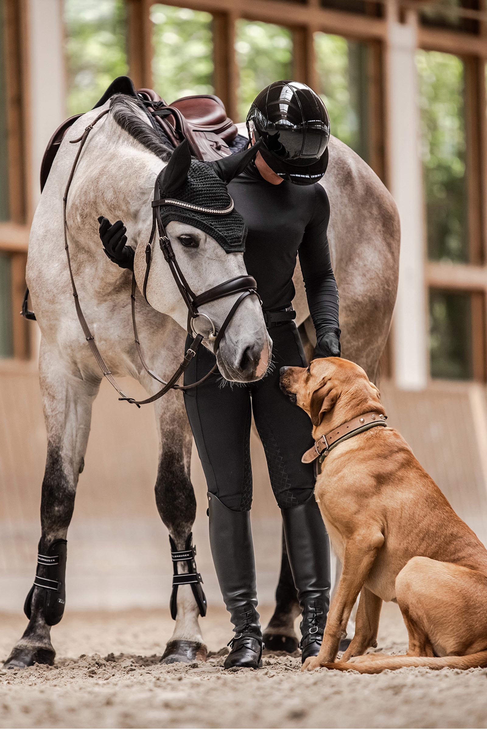 SWING H24 Lady Glossy ratsastuskypärä