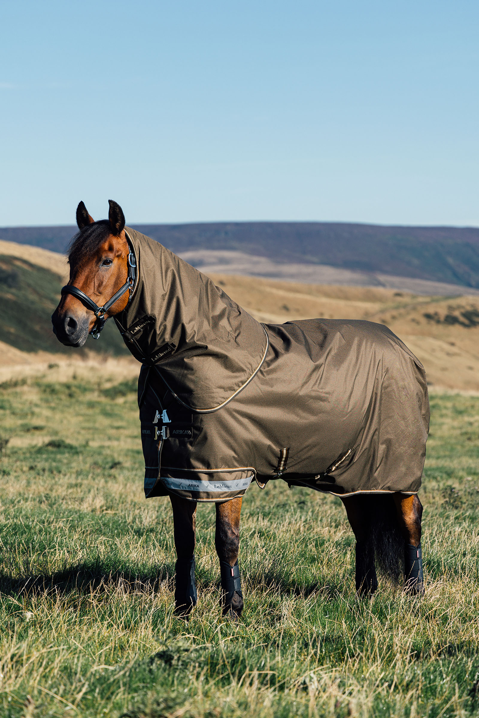 LeMieux Arika Ripstop Turnout Rug With Detachable Neck, 0 g